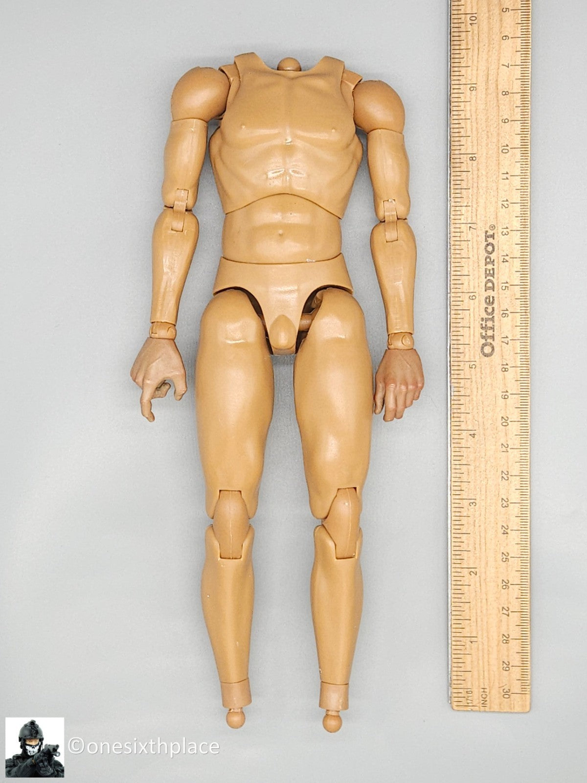 1:6 scale CooModel Male Body w/ Hands for 12" Figures