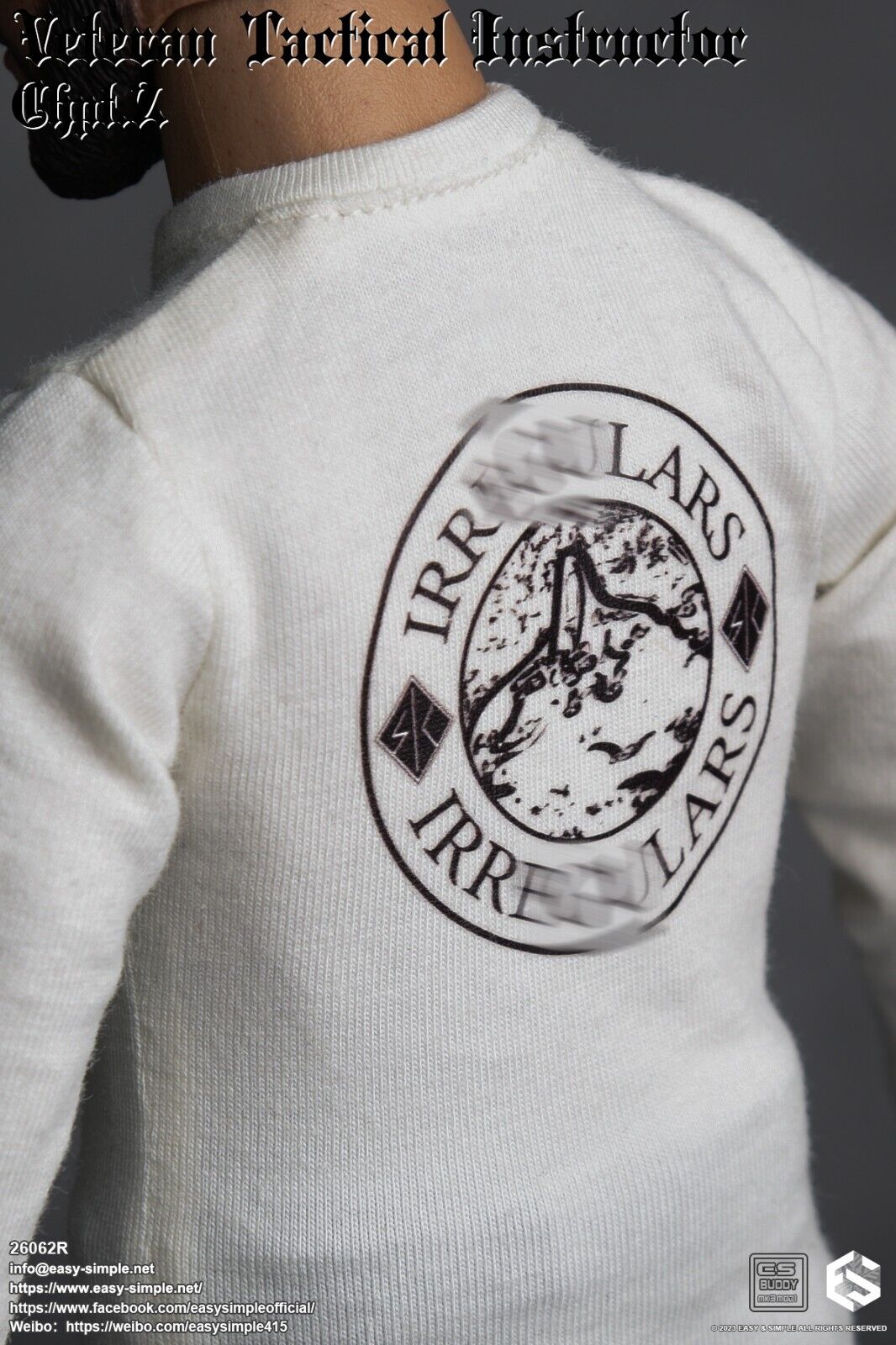 1:6 scale Easy & Simple Veteran Tactical Instructor Chapter II Patches Set