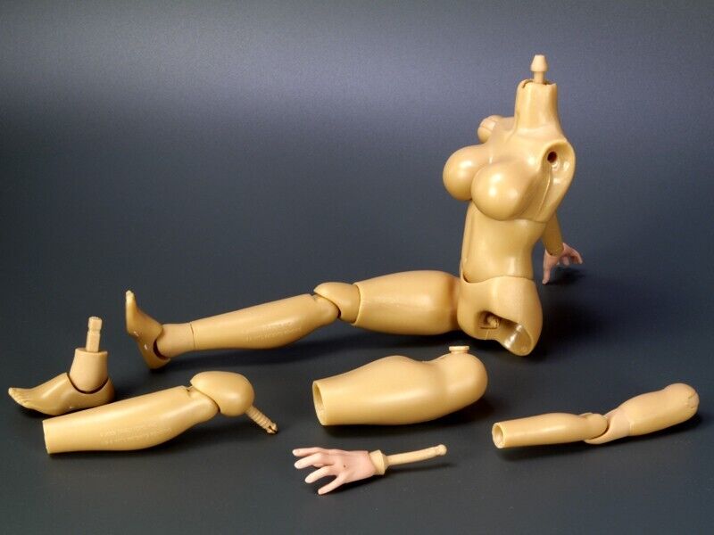 1:6 Triad Toys Alpha Caucasian Body w/ Blond Hair Head Sculpt for 12" Figures