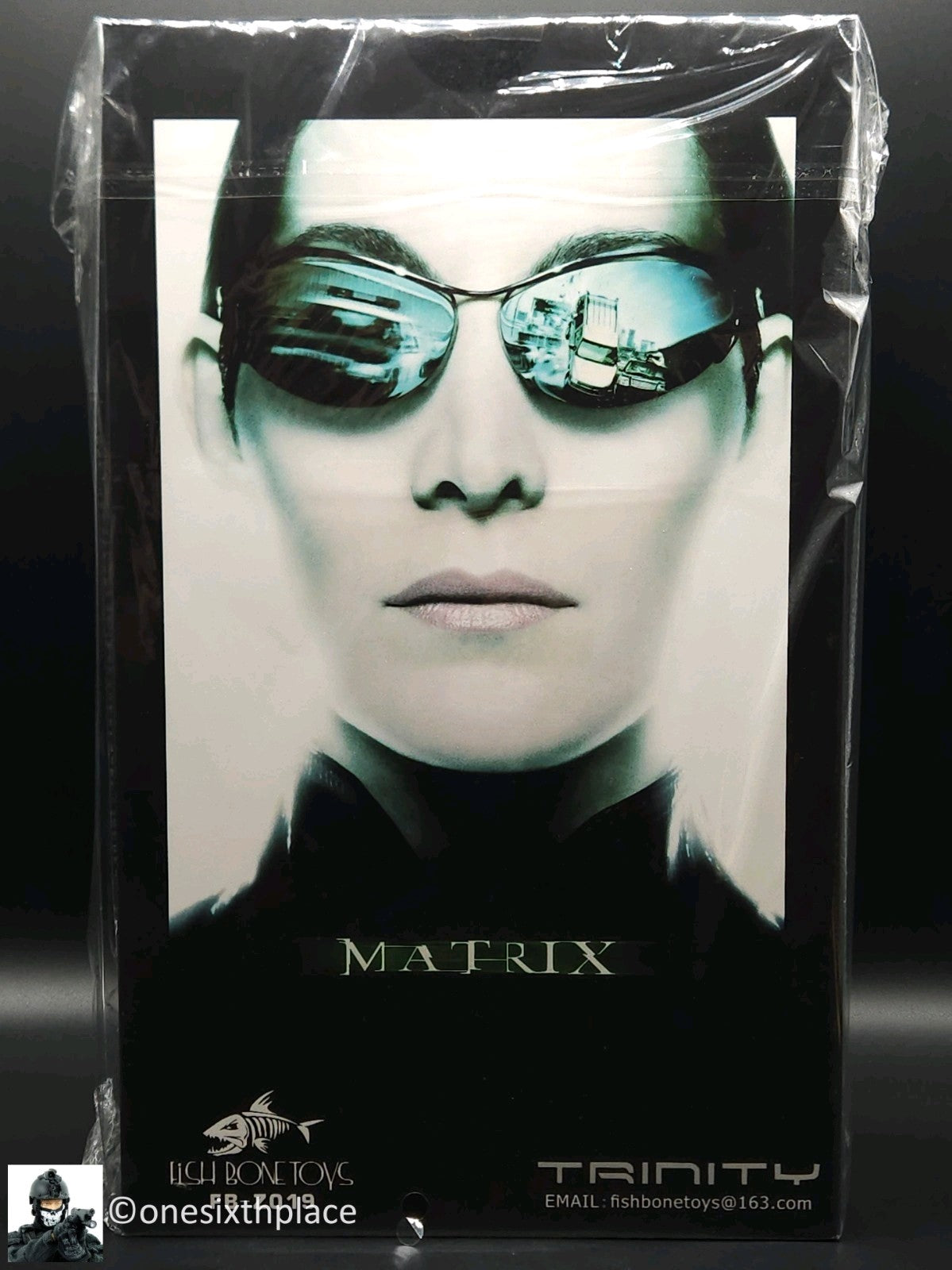 1:6 scale Female Hacker 12" Action Figure