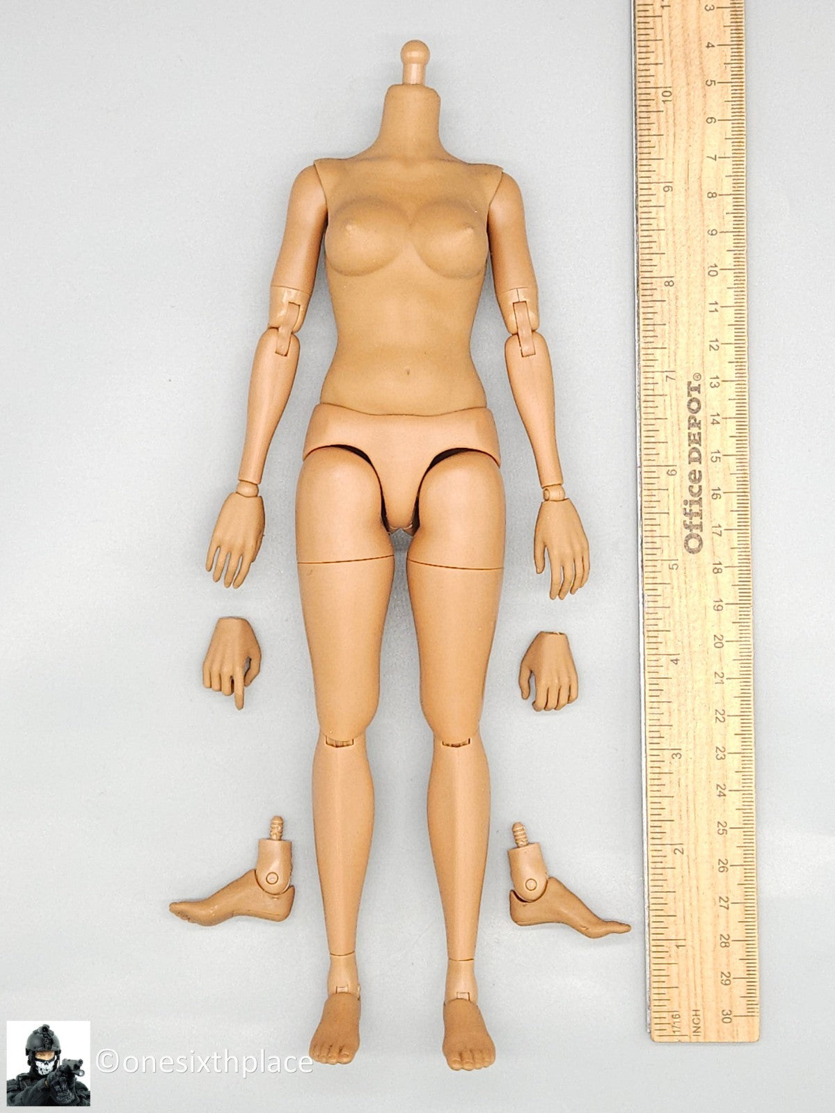 1:6 Hot Toys TrueType Cuban American Female Body w/ Hands & Feet for 12" Figures