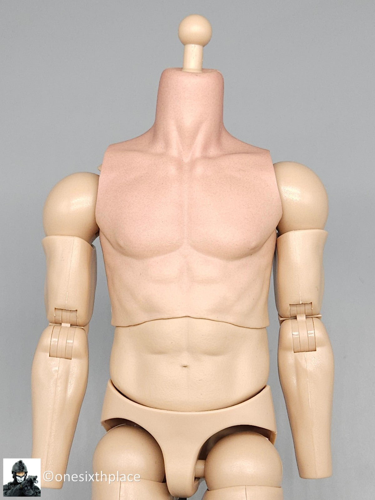 1:6 scale DamToys 75th Ranger Regiment Airborne Male Nude Body for 12" Figures