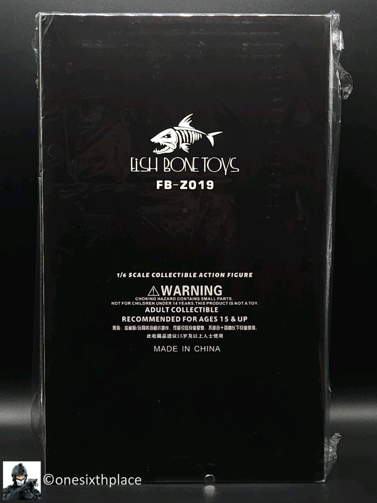 1:6 scale Female Hacker 12" Action Figure