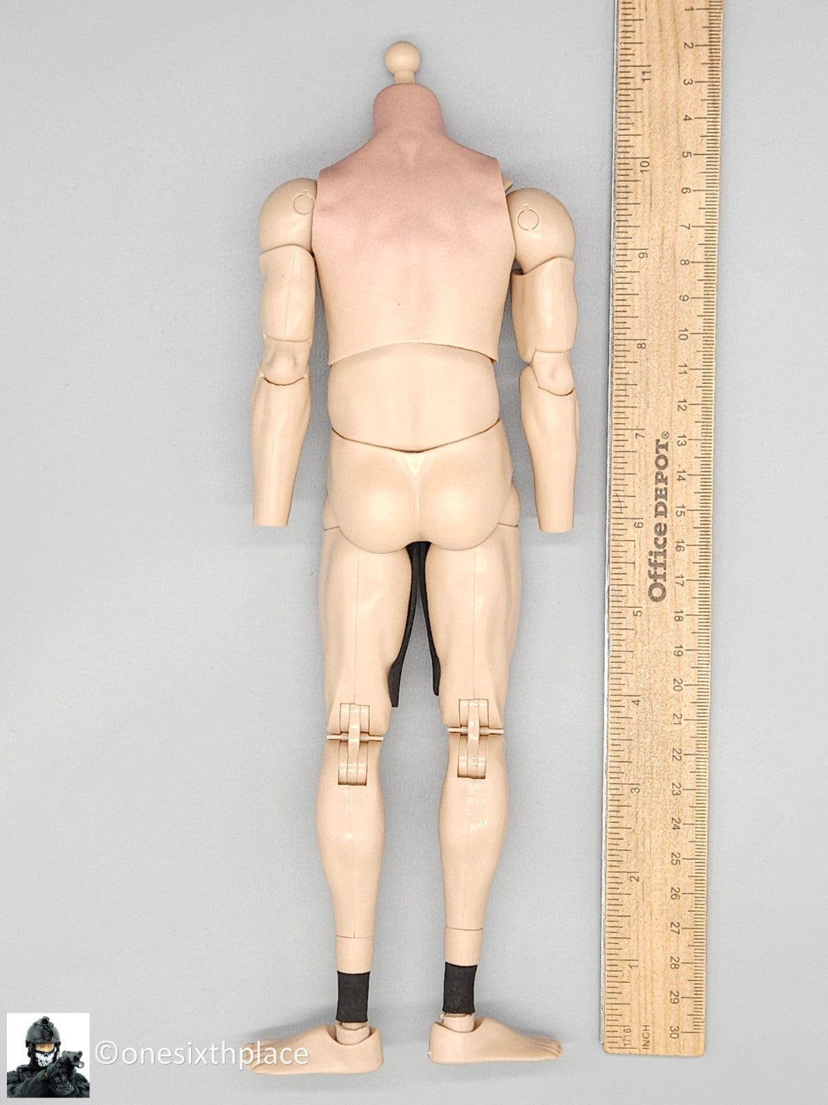 1:6 scale DamToys 75th Ranger Regiment Airborne Male Nude Body for 12" Figures