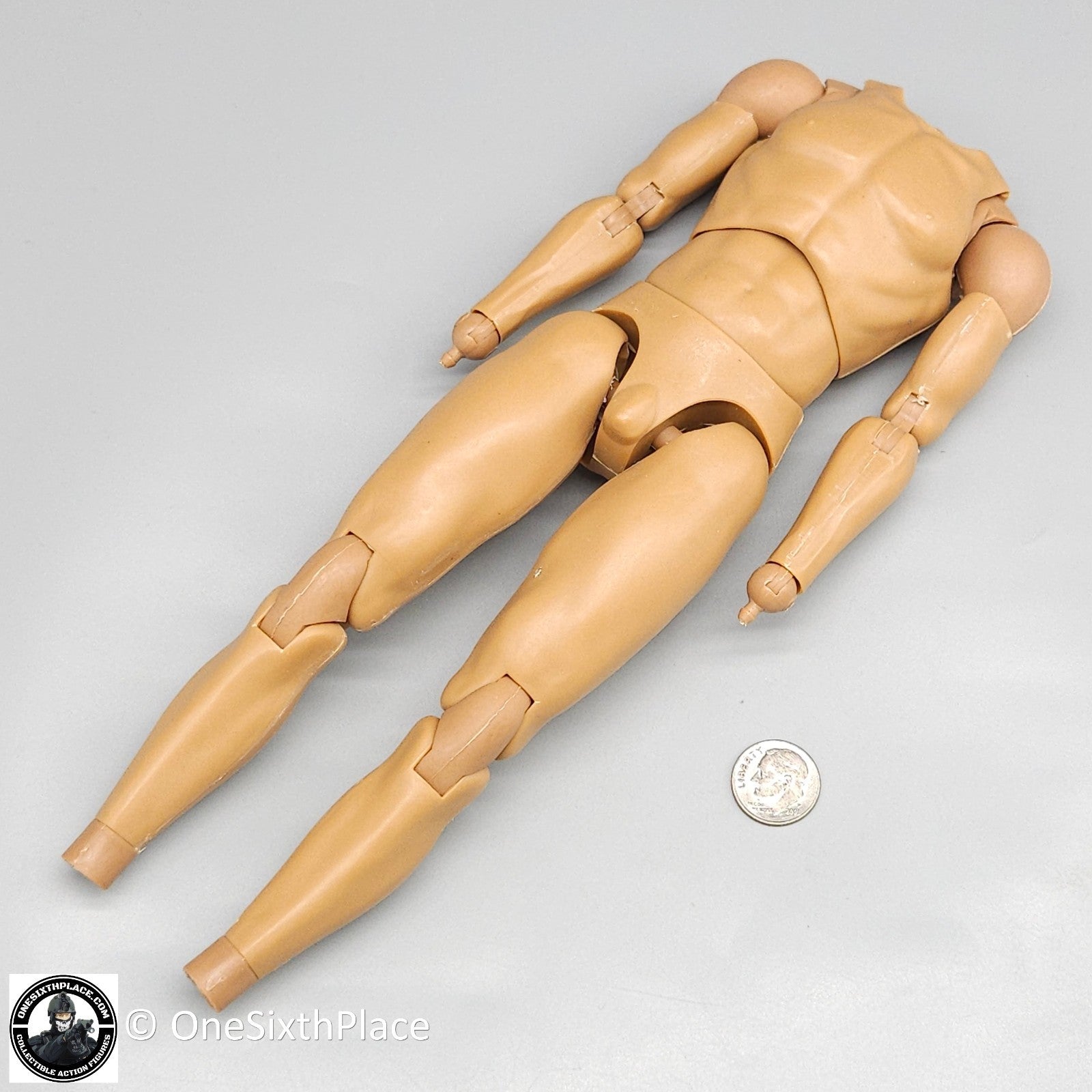 1:6 scale Coo Models Male Body (No Ankle Pegs) for 12" Figures