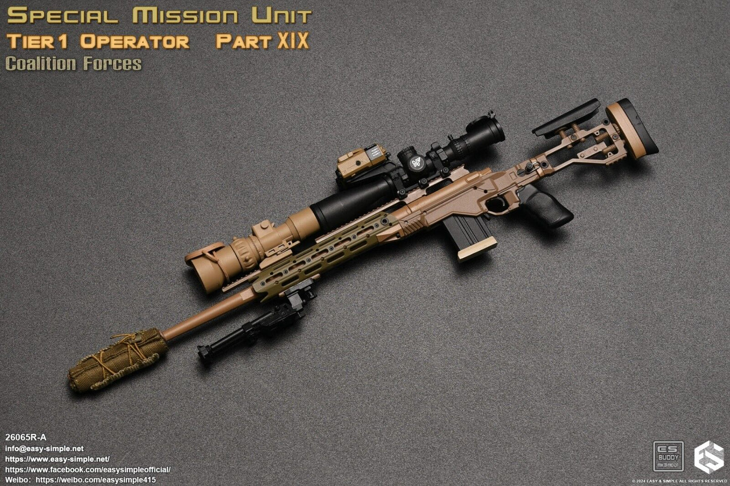 1:6 Scale Easy & Simple Tier 1 Operator Part XIX Coalition Forces 12" Figure