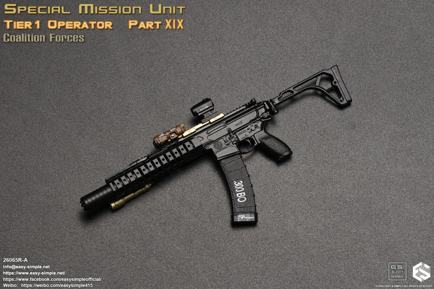 1:6 Scale Easy & Simple Tier 1 Operator Part XIX Coalition Forces 12" Figure