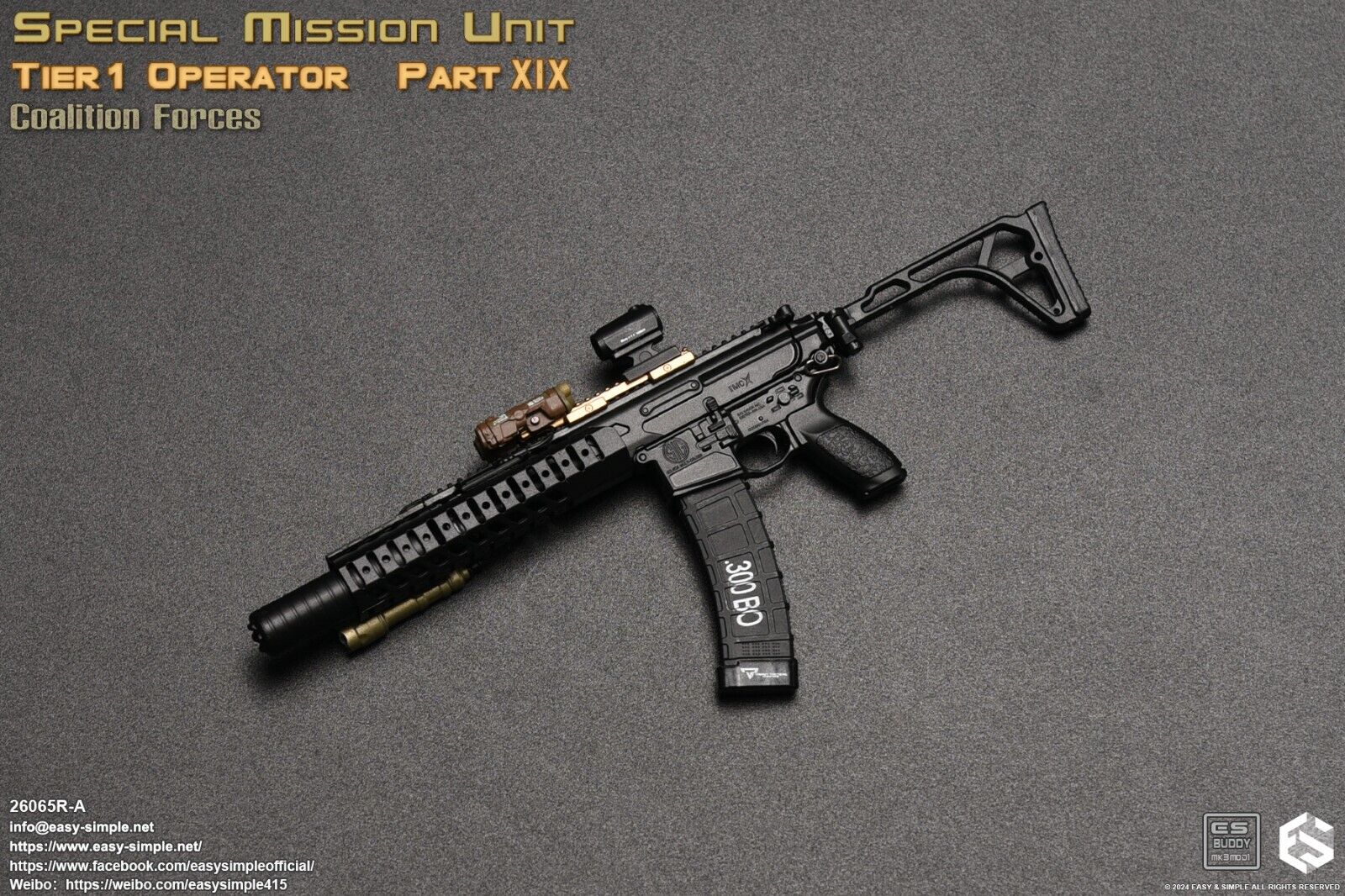 1:6 Scale Easy & Simple Tier 1 Operator Part XIX Coalition Forces 12" Figure