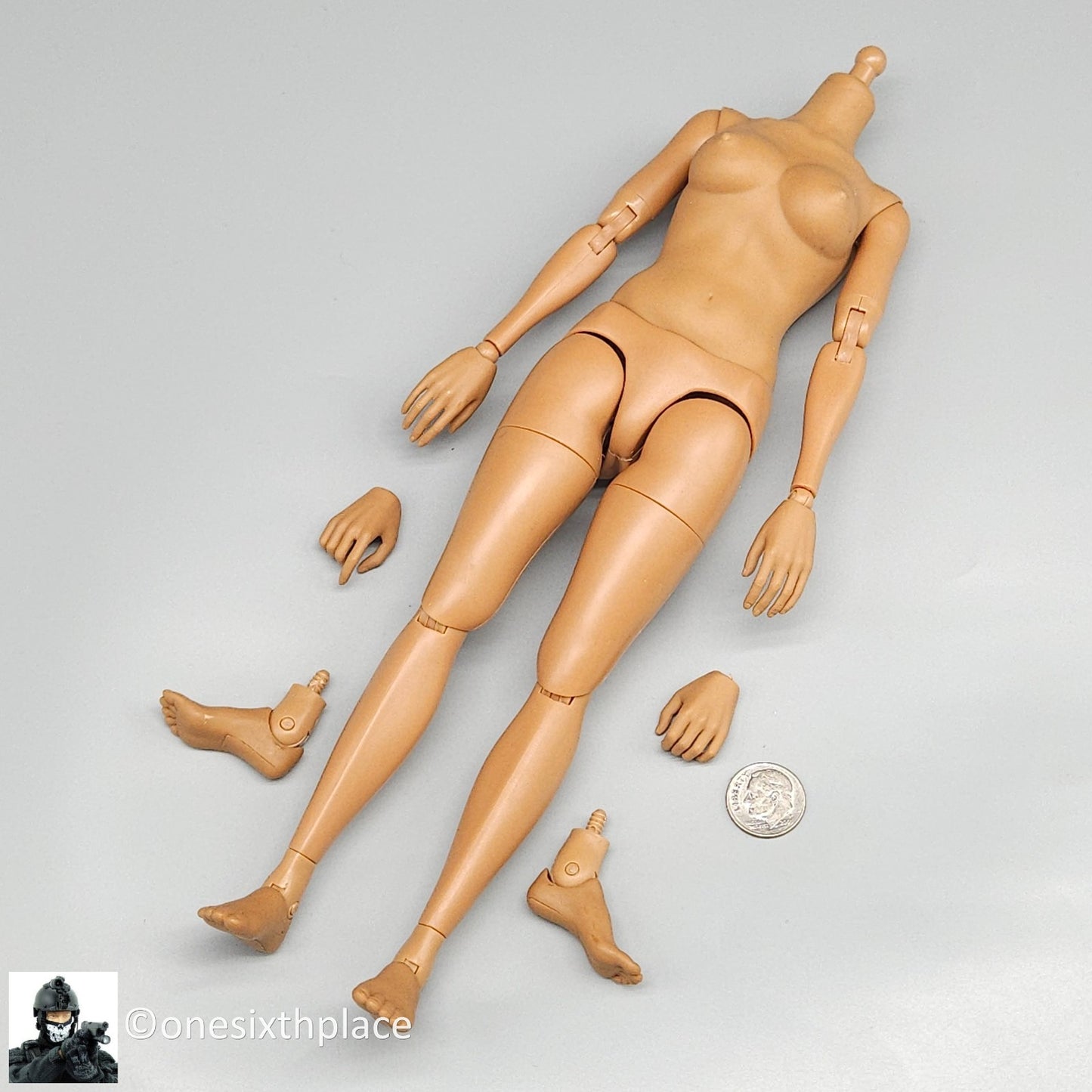 1:6 Hot Toys TrueType Cuban American Female Body w/ Hands & Feet for 12" Figures