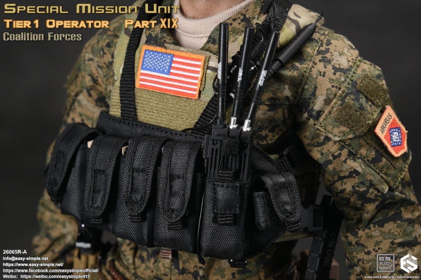 1:6 Scale Easy & Simple Tier 1 Operator Part XIX Coalition Forces 12" Figure