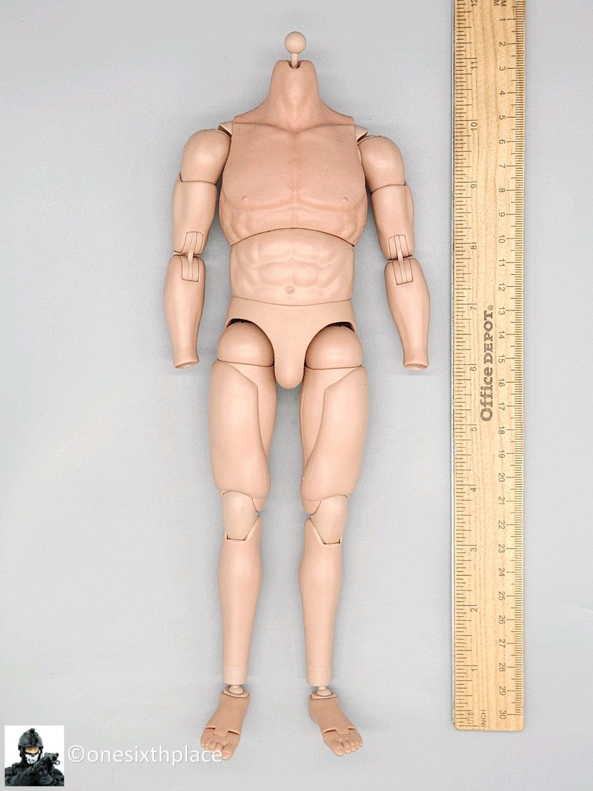1:6 scale Soldier Story 6.0 Male Type C Muscle Body 12" Figure