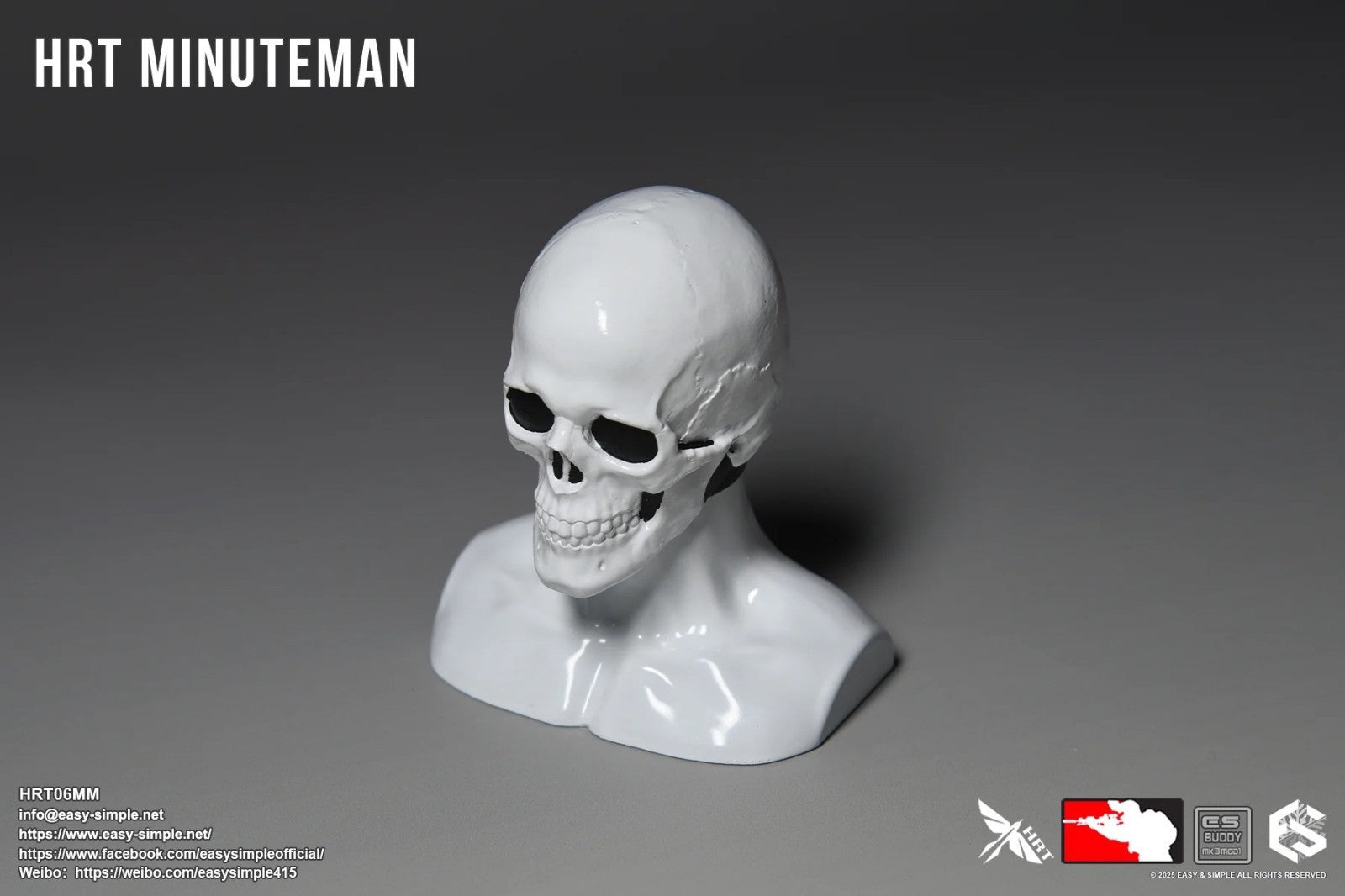 1:6 Easy & Simple HRT Minuteman ShotShow 2025 Skull Head w/ Display Mannequin