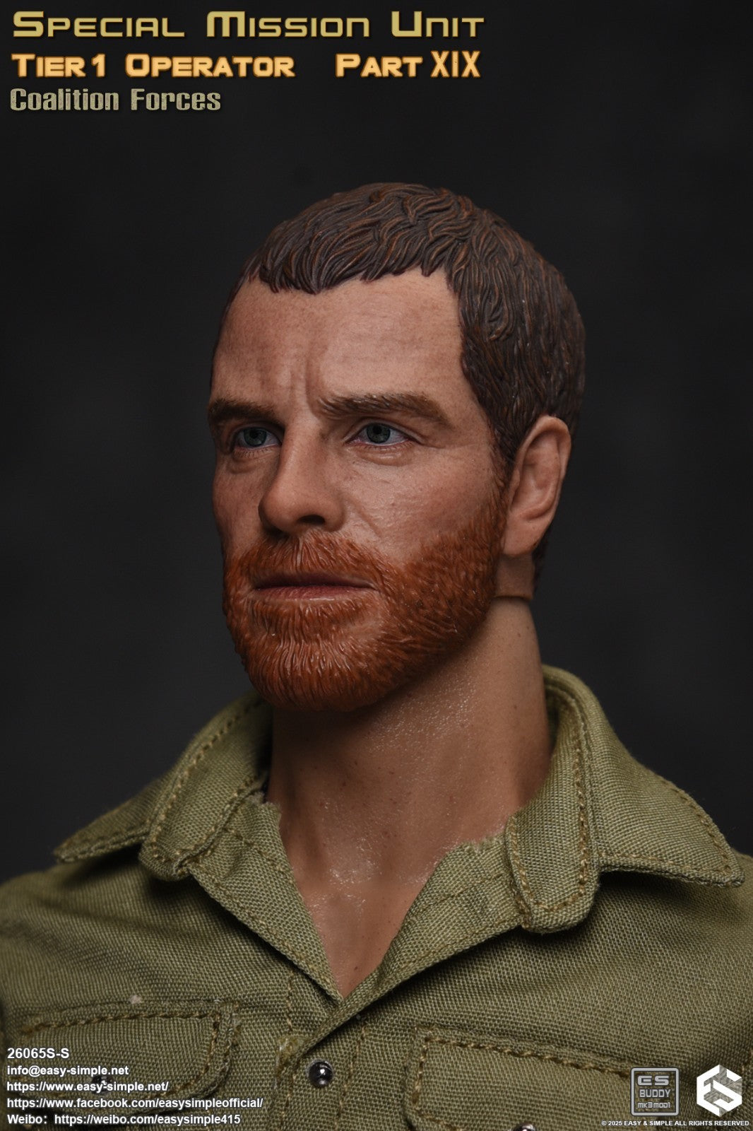 1:6 scale Easy & Simple Coalition Forces British SAS Male Head Sculpt
