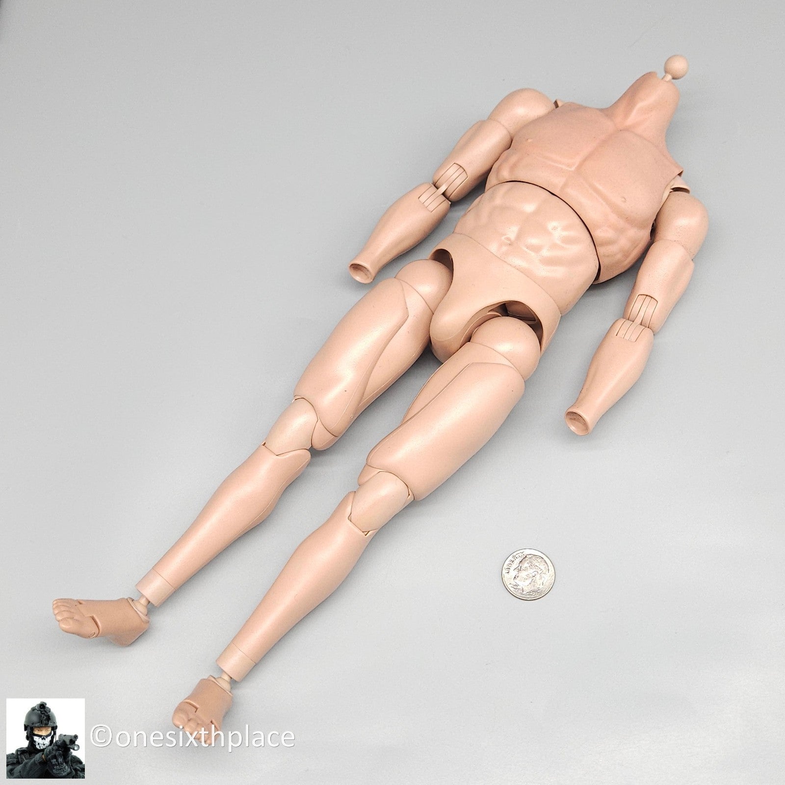 1:6 scale Soldier Story 6.0 Male Type C Muscle Body 12" Figure