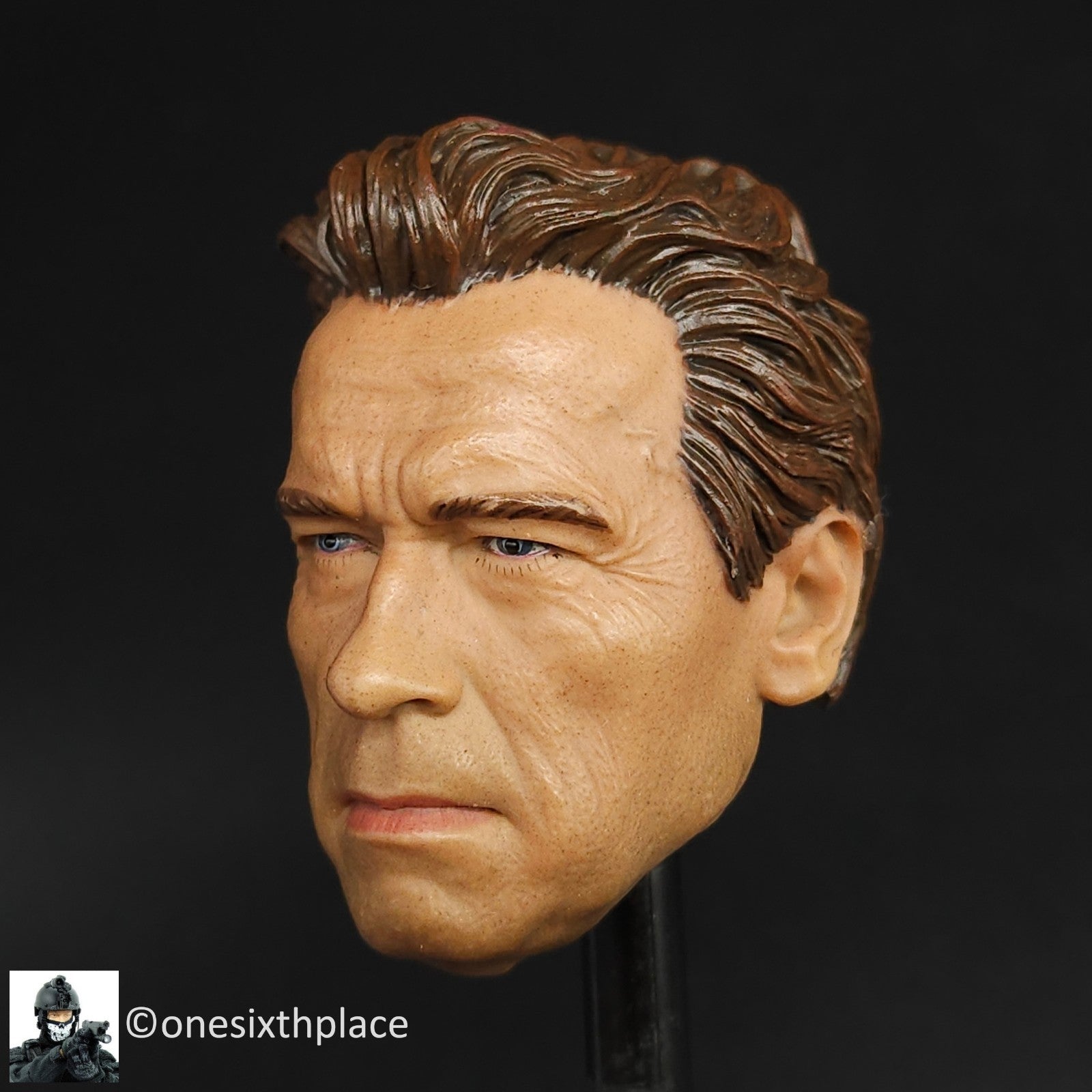 1:6 scale Arnold Old Terminator T800 Head Sculpt for 12" Figures