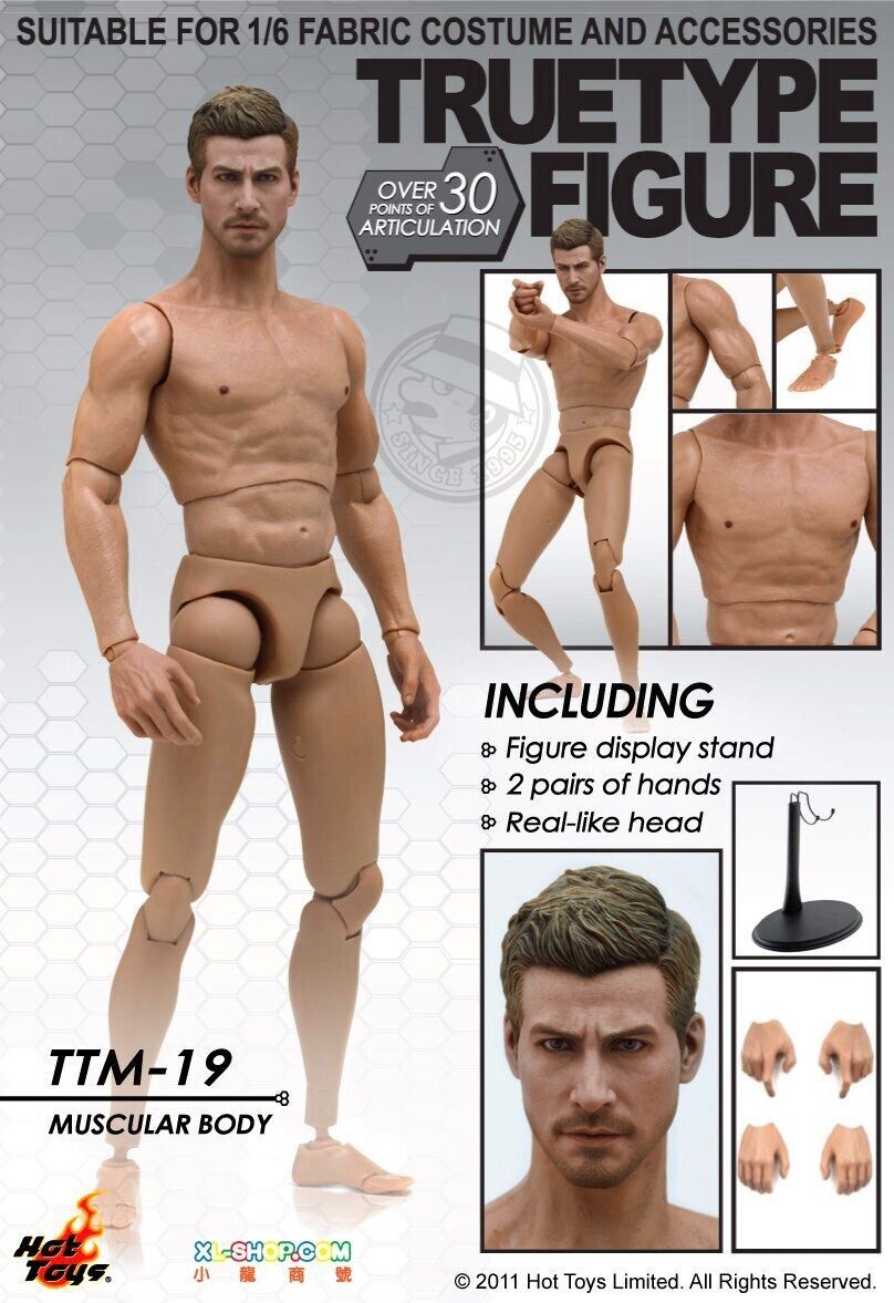 1:6 scale Hot Toys TrueType Jake Gyllenhaal Male Head Sculpt 12" Figures