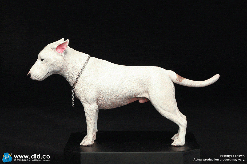 1:6 scale DiD Accessory Kit of WWII General Patton George C Scott Version E60071