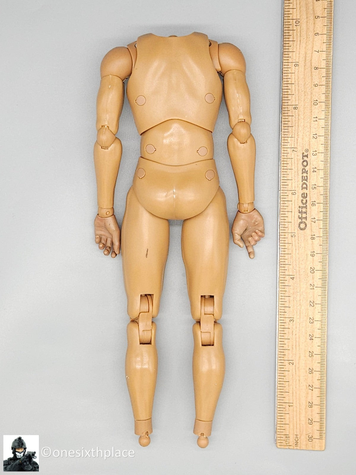 1:6 scale CooModel Male Body w/ Hands for 12" Figures