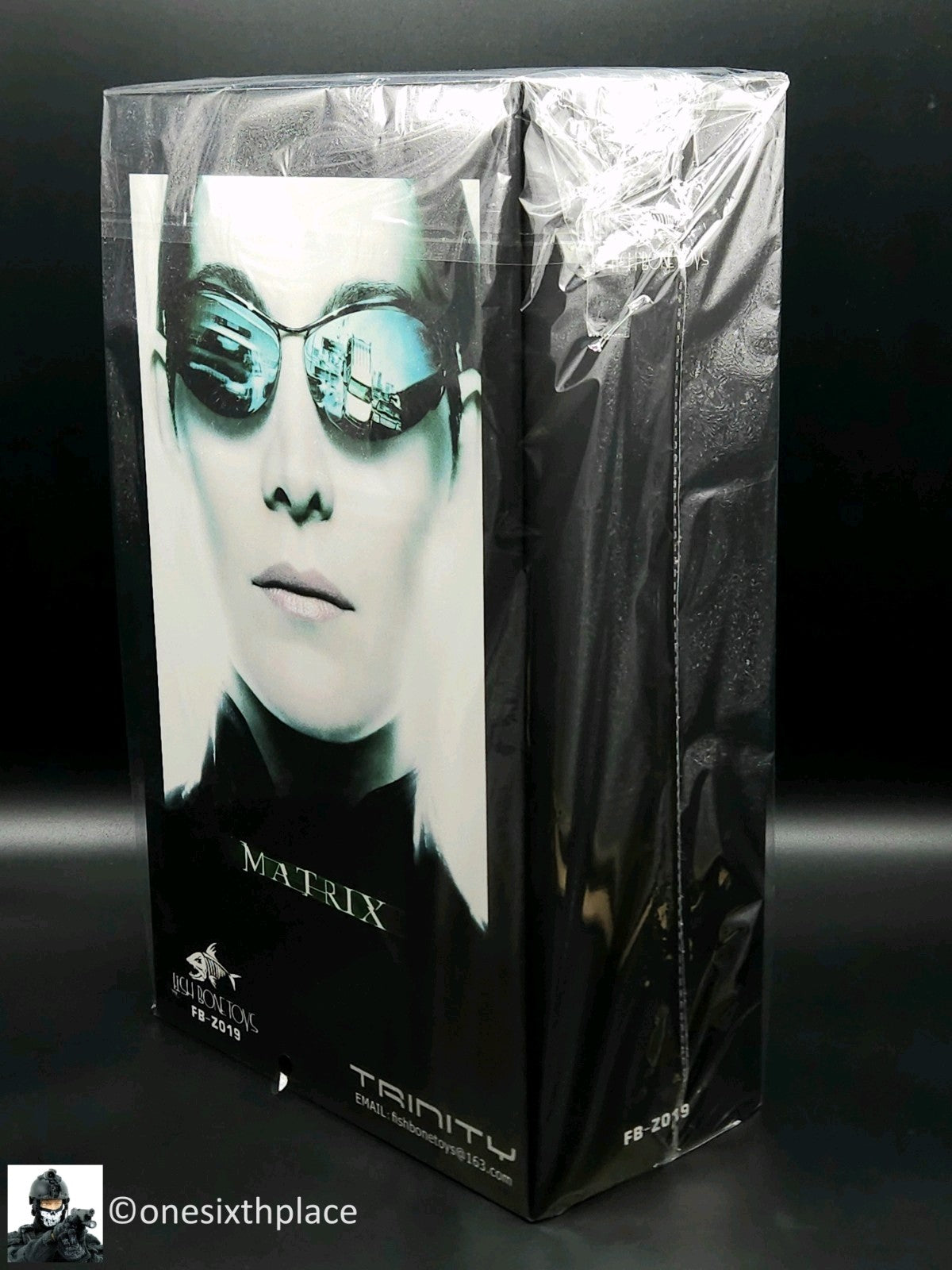 1:6 scale Female Hacker 12" Action Figure