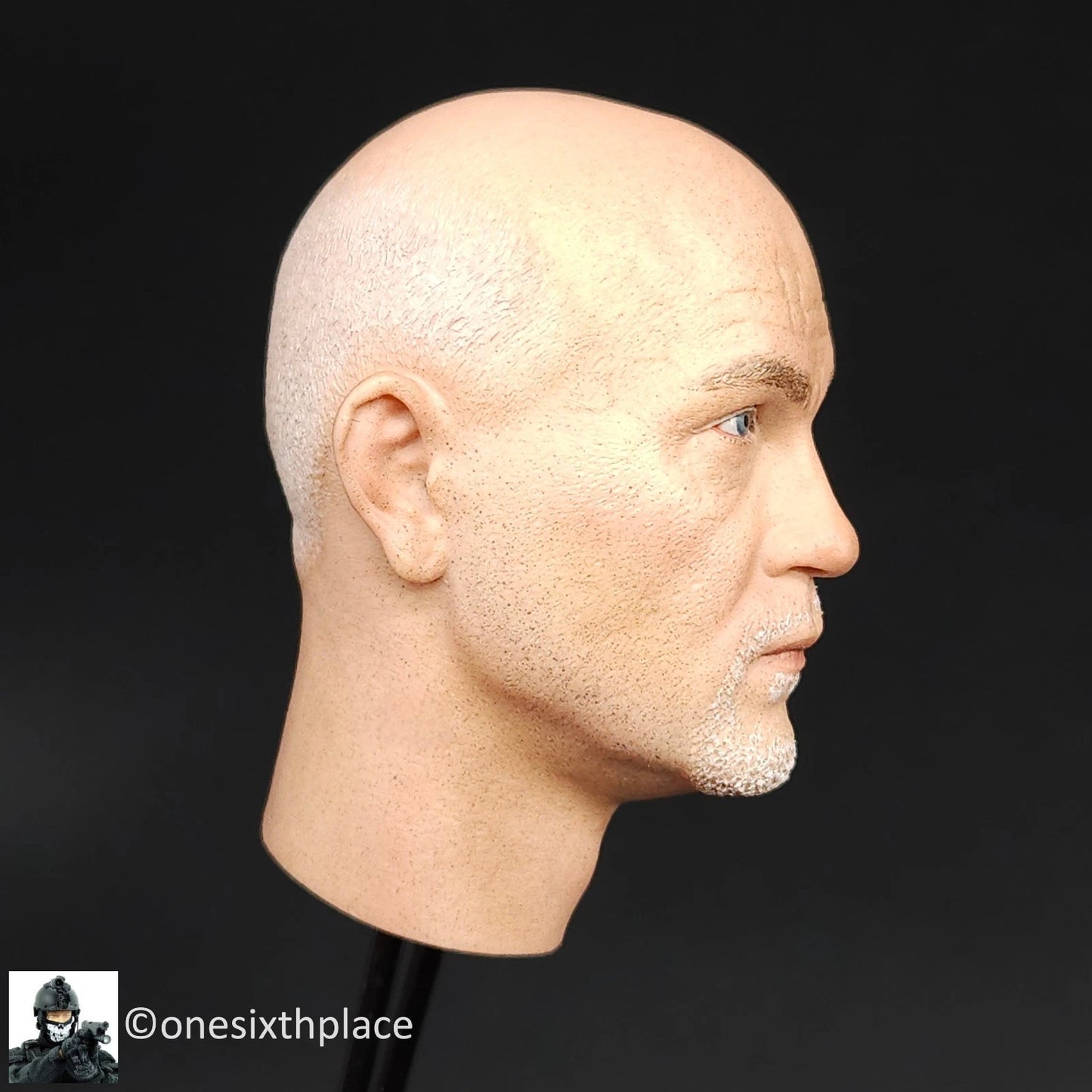 1:6 DiD WWII German Officer Drud Male Head Sculpt 12" GI Joe Dragon BBI DamToys