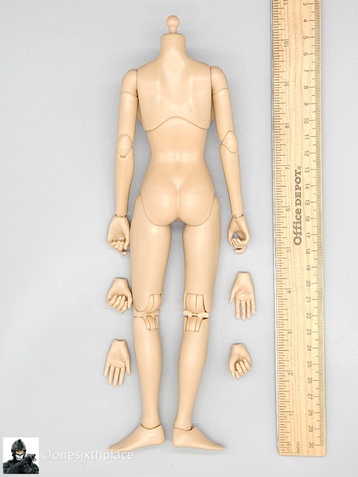 1:6 Flirty Girl Female 2.0 Large Bust Body FB02-L for 12" Figures READ NOTES