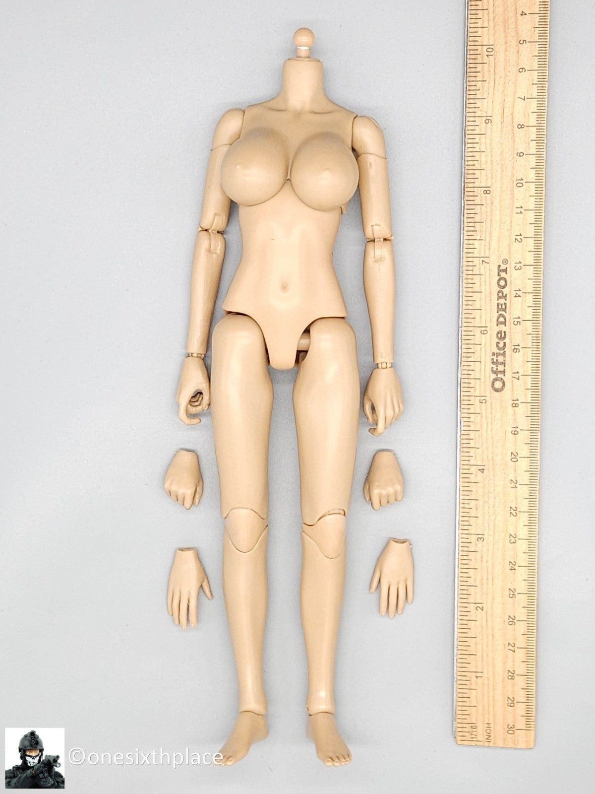 1:6 Flirty Girl Female 2.0 Large Bust Body FB02-L for 12" Figures READ NOTES