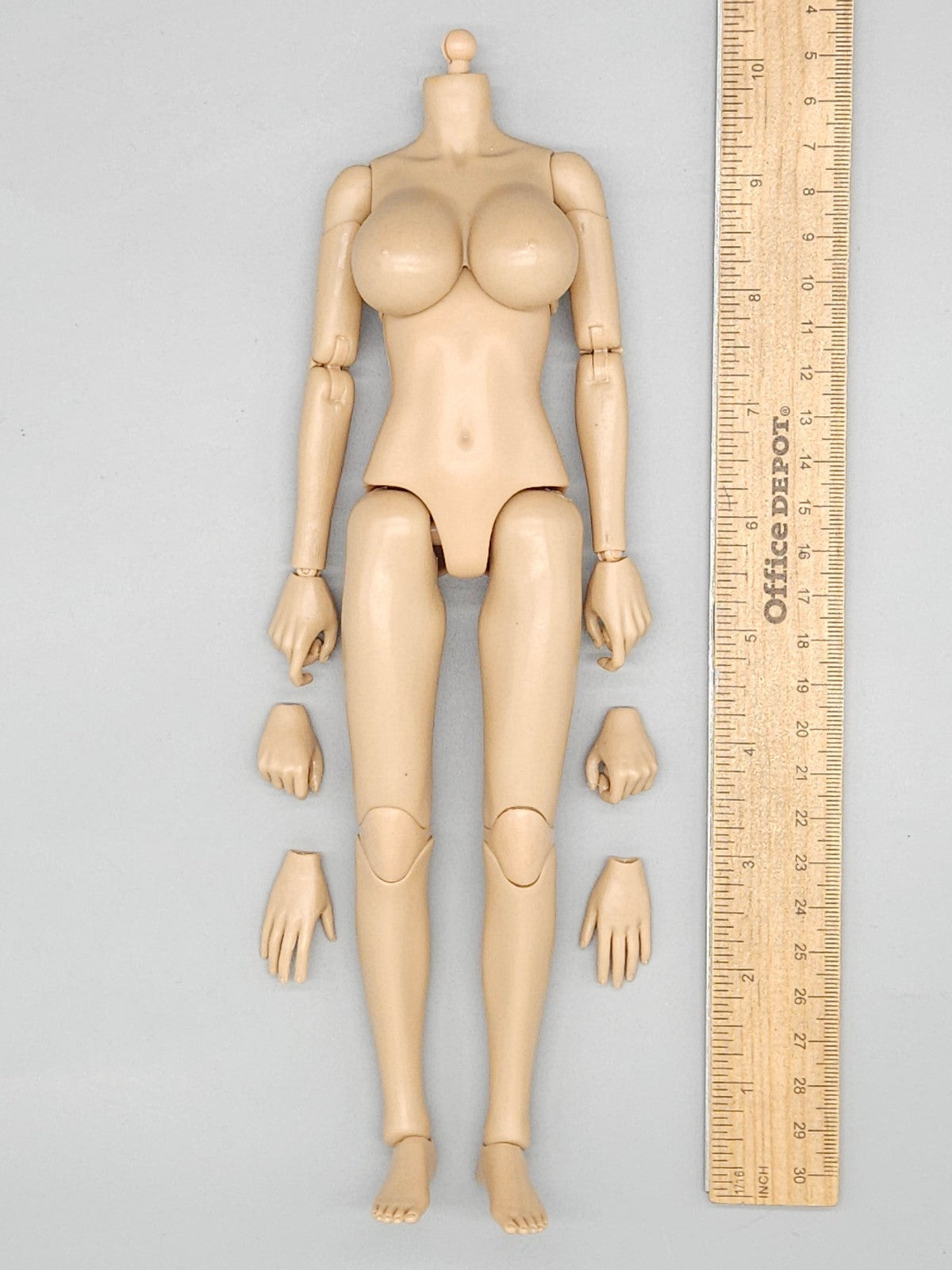 1:6 Flirty Girl Female 2.0 Large Bust Body FB02-L for 12" Figures