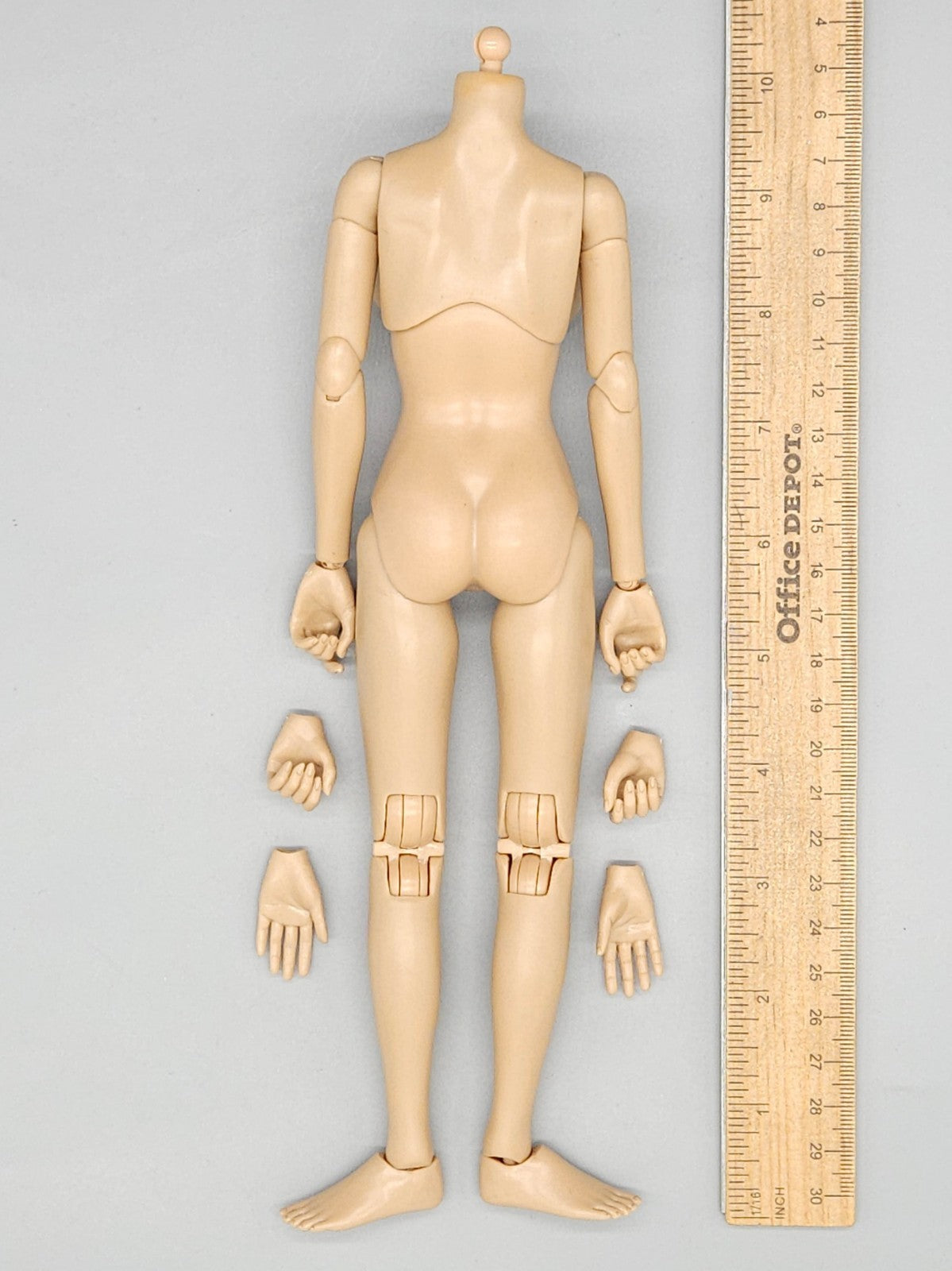 1:6 Flirty Girl Female 2.0 Large Bust Body FB02-L for 12" Figures