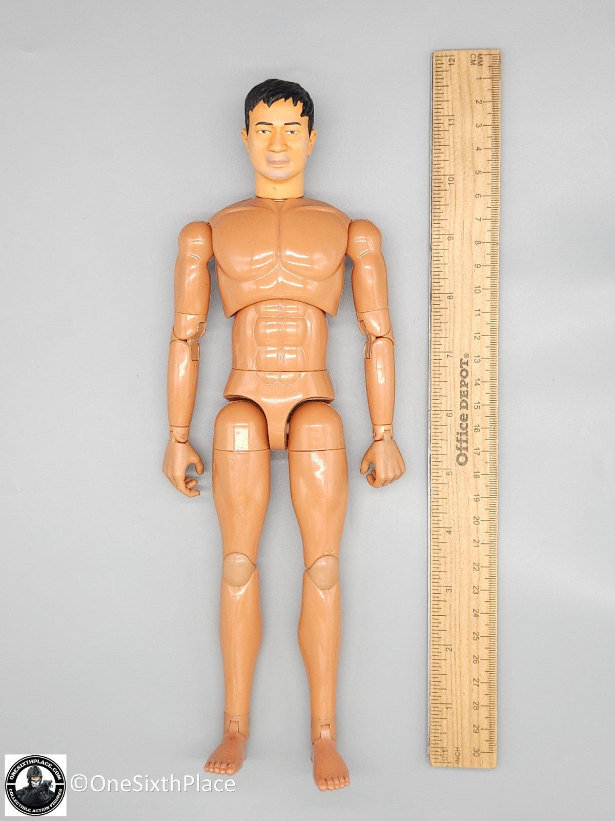 1:6 scale Dragon SDU Ray Asian Male Body w/ Head & Hands 12" Figure