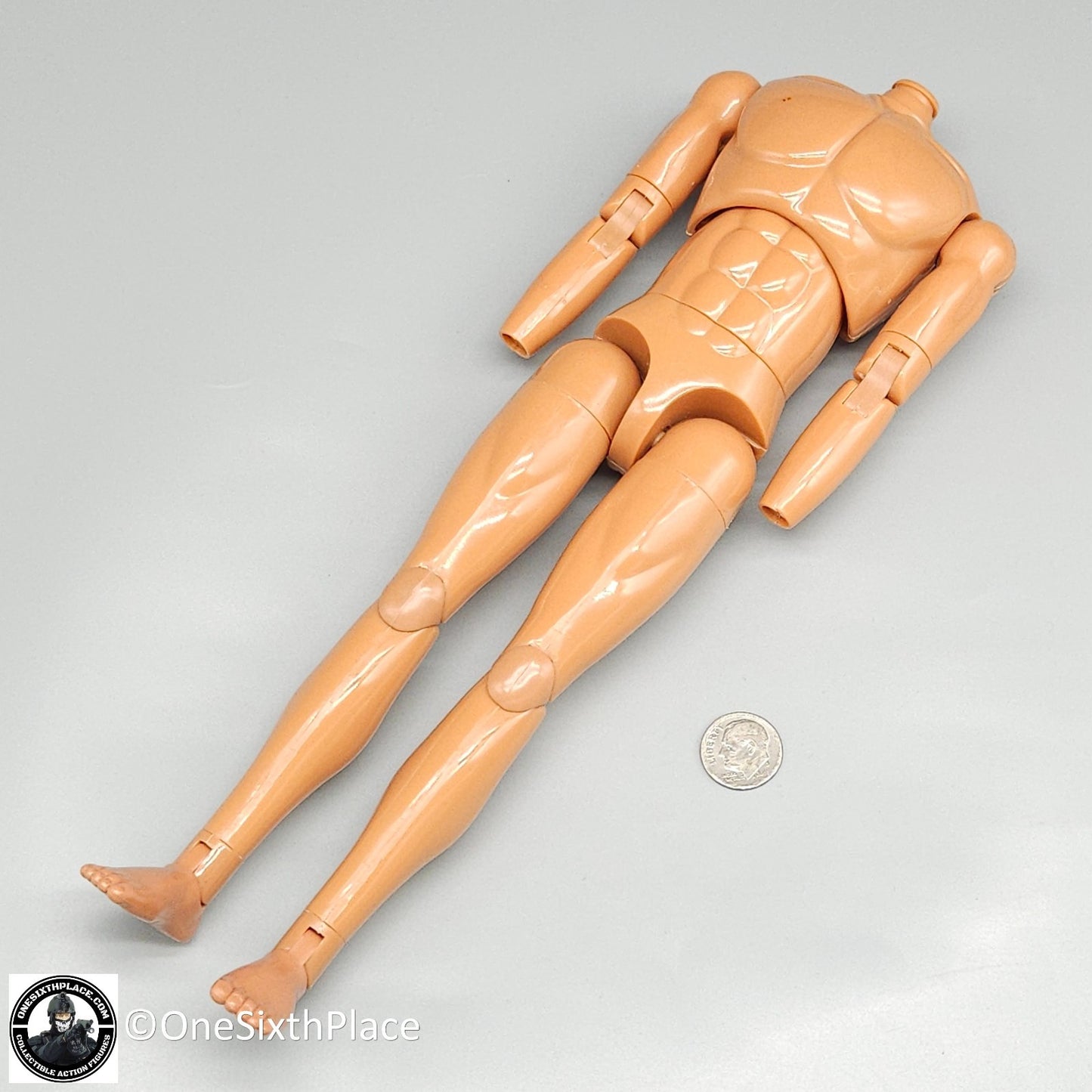 1:6 scale Dragon Adam Male Body (Suntan Skin Tone) for 12" Figures