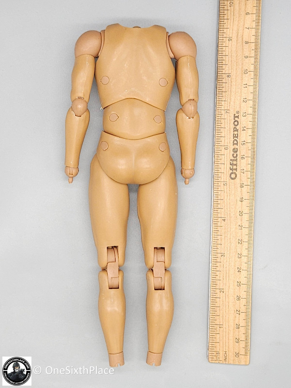 1:6 scale Coo Models Male Body (No Ankle Pegs) for 12" Figures