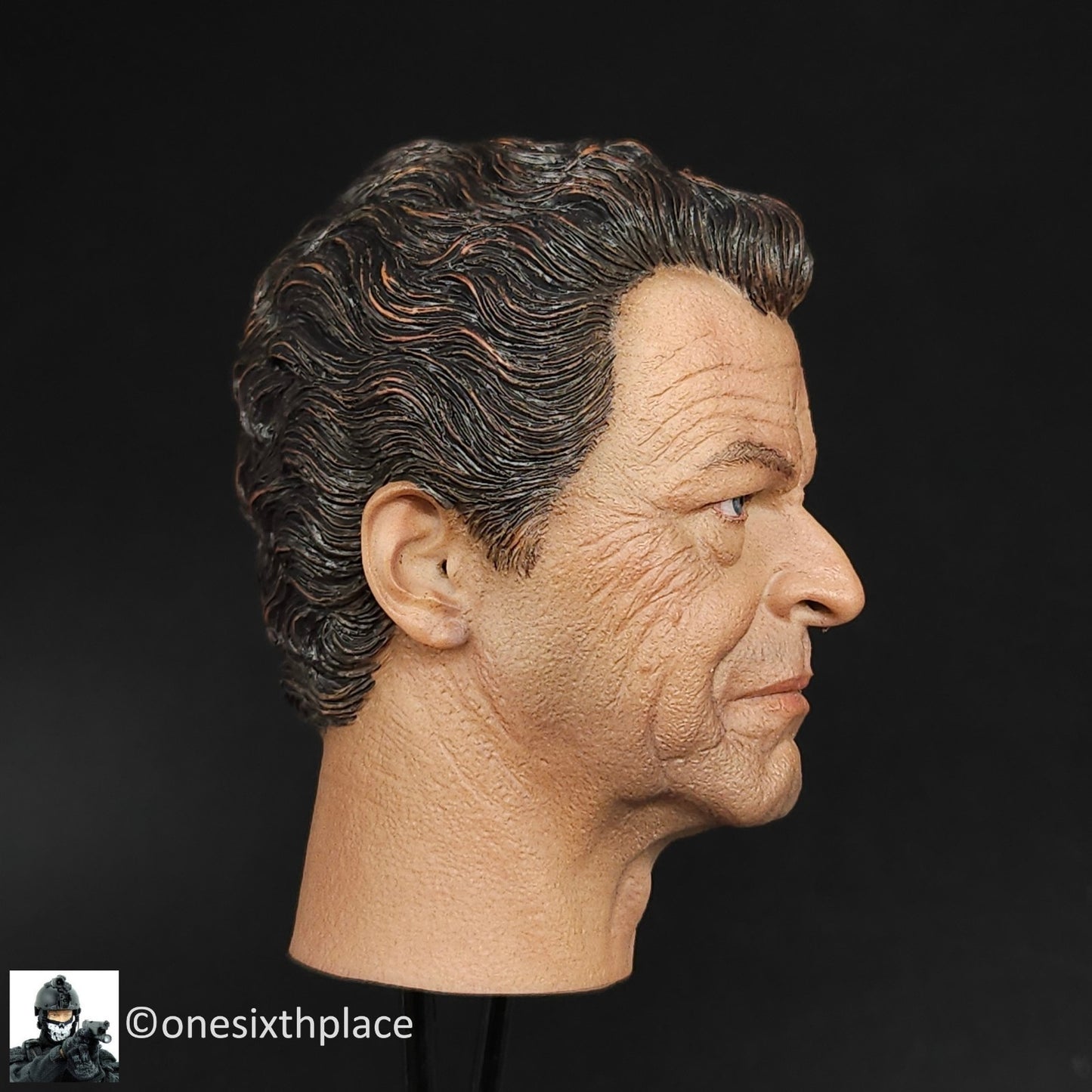 1:6 scale DiD Walter Bishop Fringe Male Head Sculpt for 12" Figures