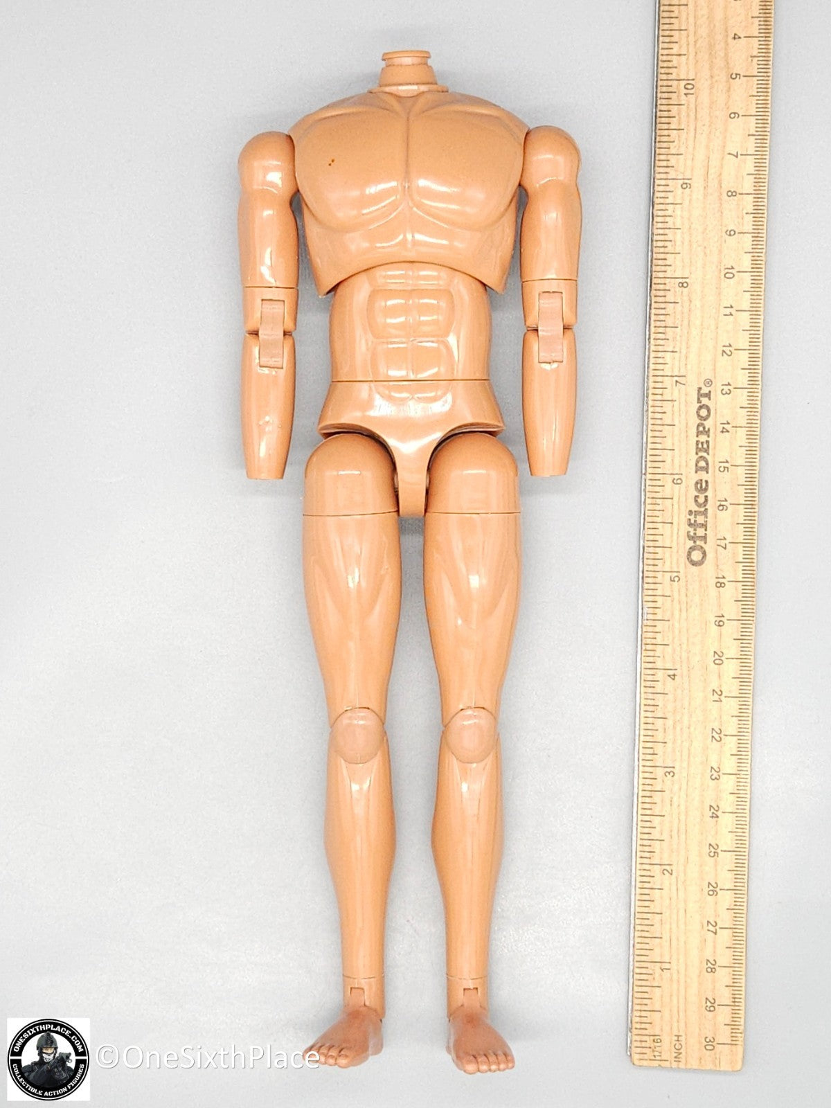 1:6 scale Dragon Adam Male Body (Suntan Skin Tone) for 12" Figures