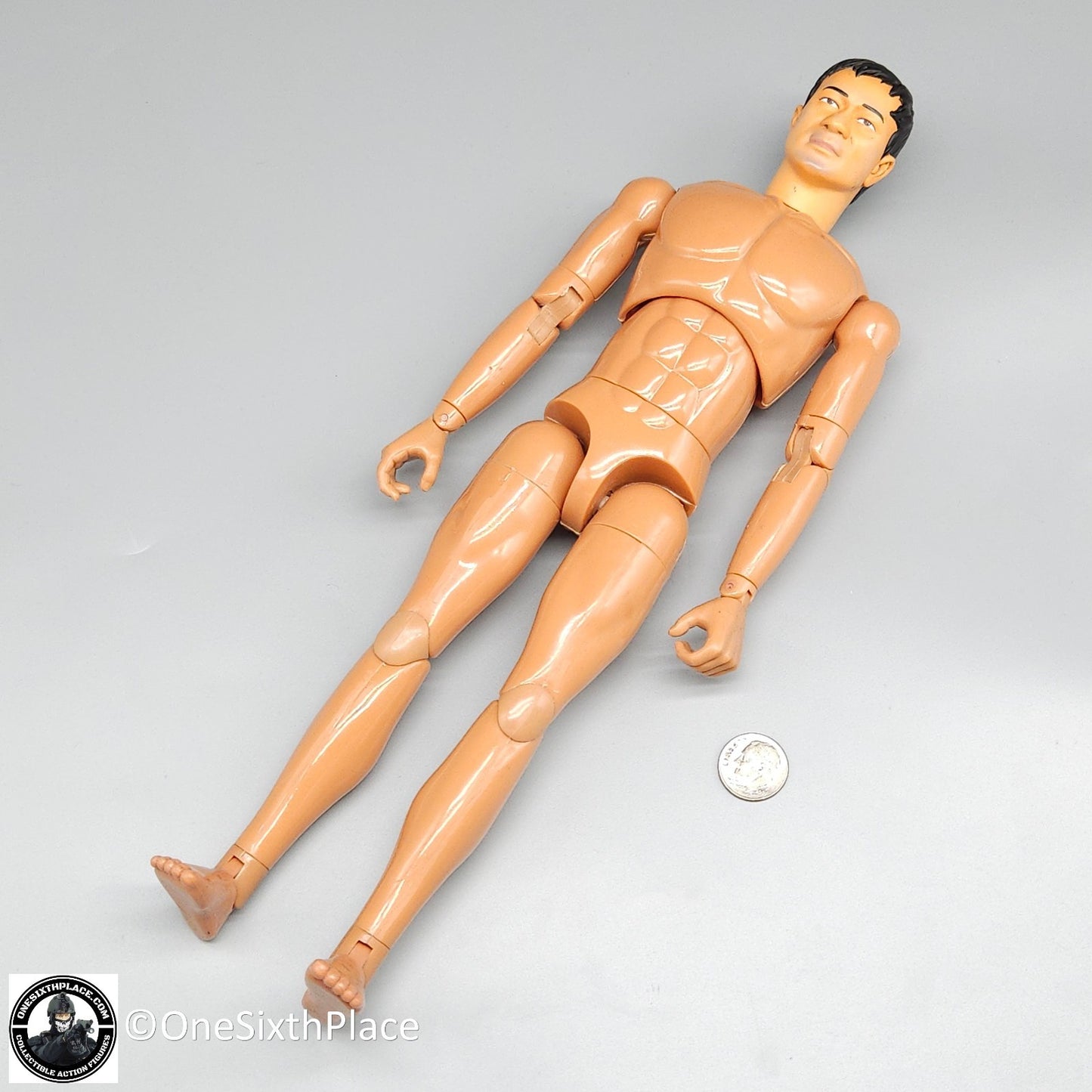 1:6 scale Dragon SDU Ray Asian Male Body w/ Head & Hands 12" Figure