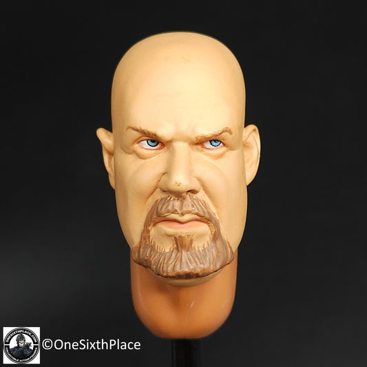 1:6 scale ACE SEAL Team 10 Male Head Sculpt for 12" Figures