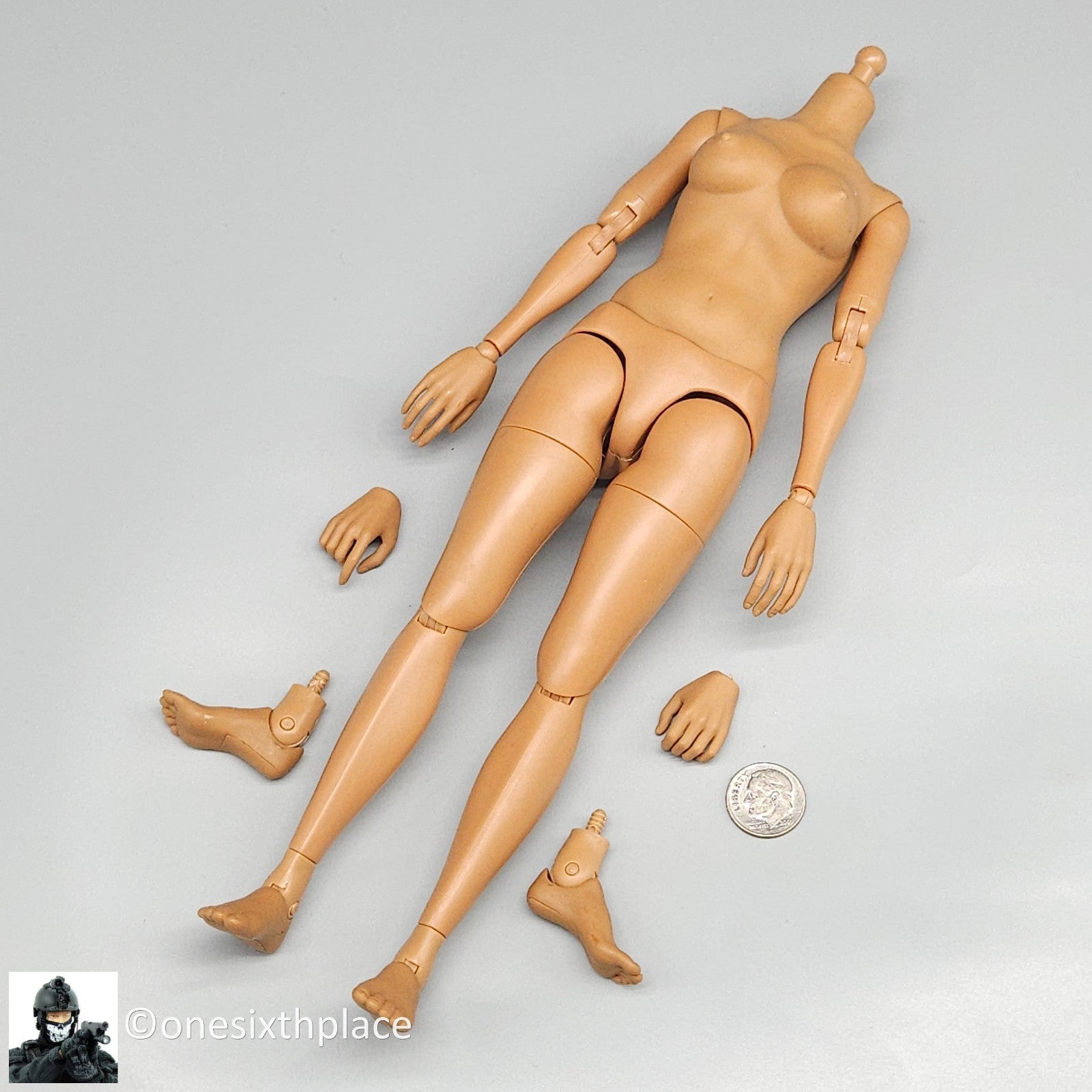 1:6 Hot Toys TrueType Cuban American Female Body w/ Hands & Feet for 12" Figures
