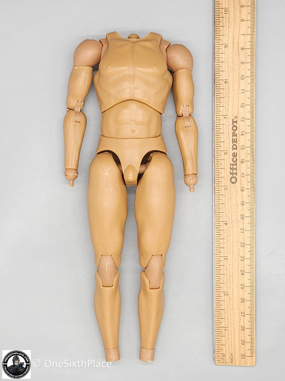 1:6 scale Coo Models Male Body (No Ankle Pegs) for 12" Figures