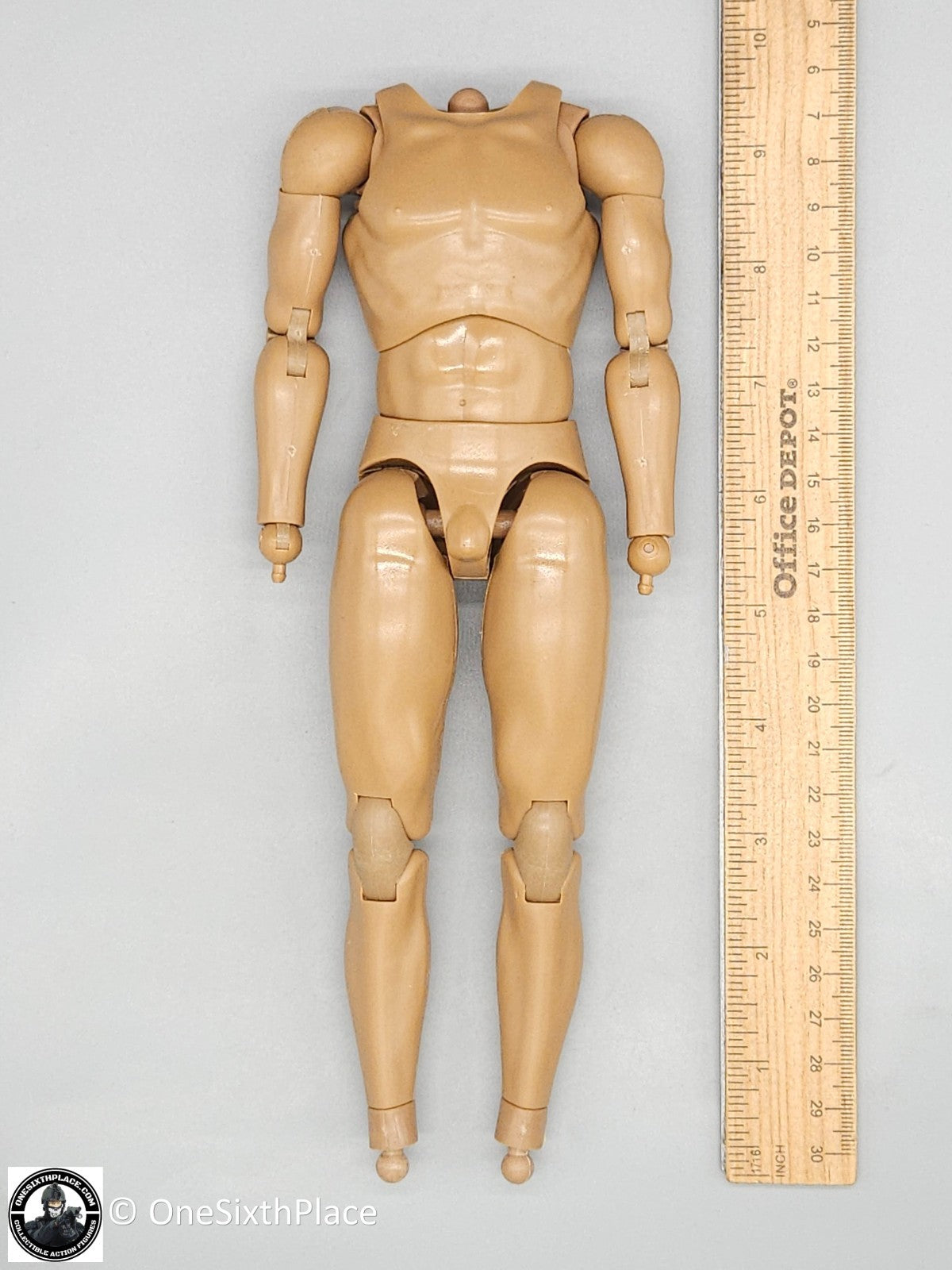 1:6 scale Coo Models Male Body w/ Wrist Pegs for 12" Figures