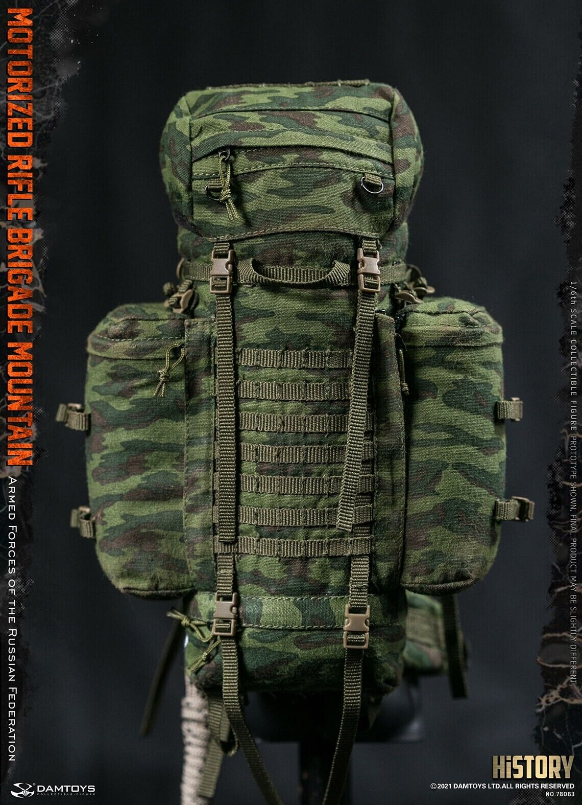 1:6 DamToys Russian Motorized Rifle Brigade Flora Camo Raid Backpack 12" Figures