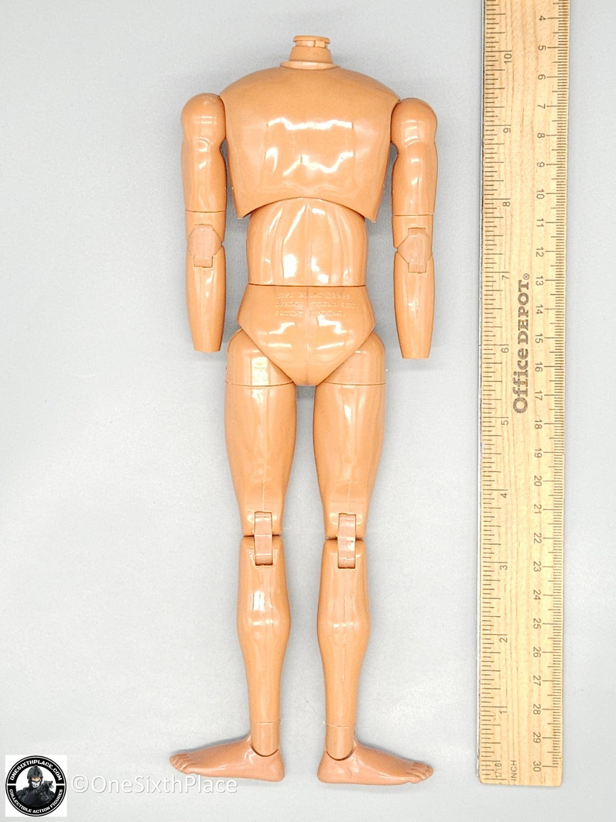 1:6 scale Dragon Adam Male Body (Suntan Skin Tone) for 12" Figures