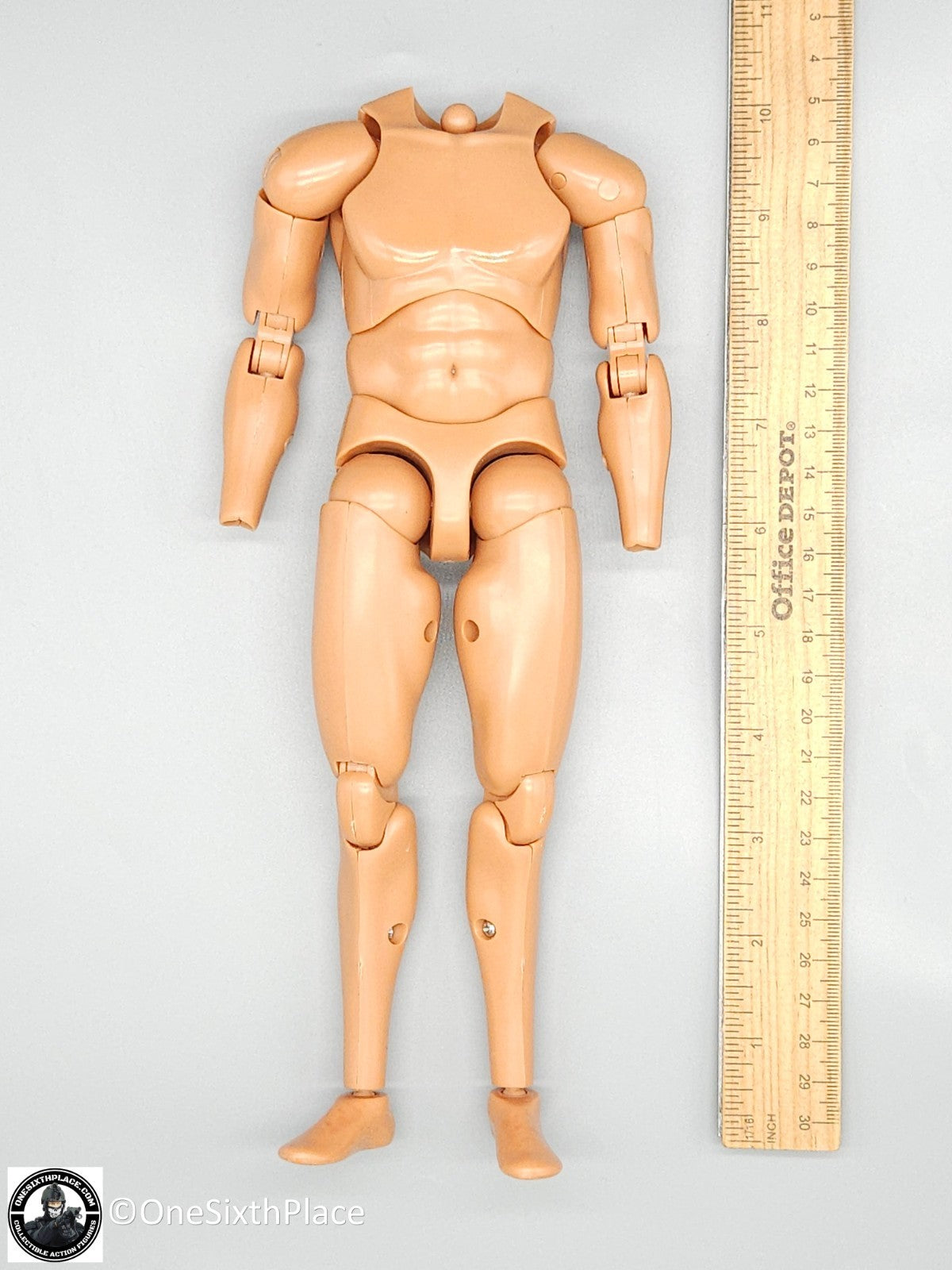 1:6 scale ACE SEAL Team 10 Male Nude Body for 12" Figures