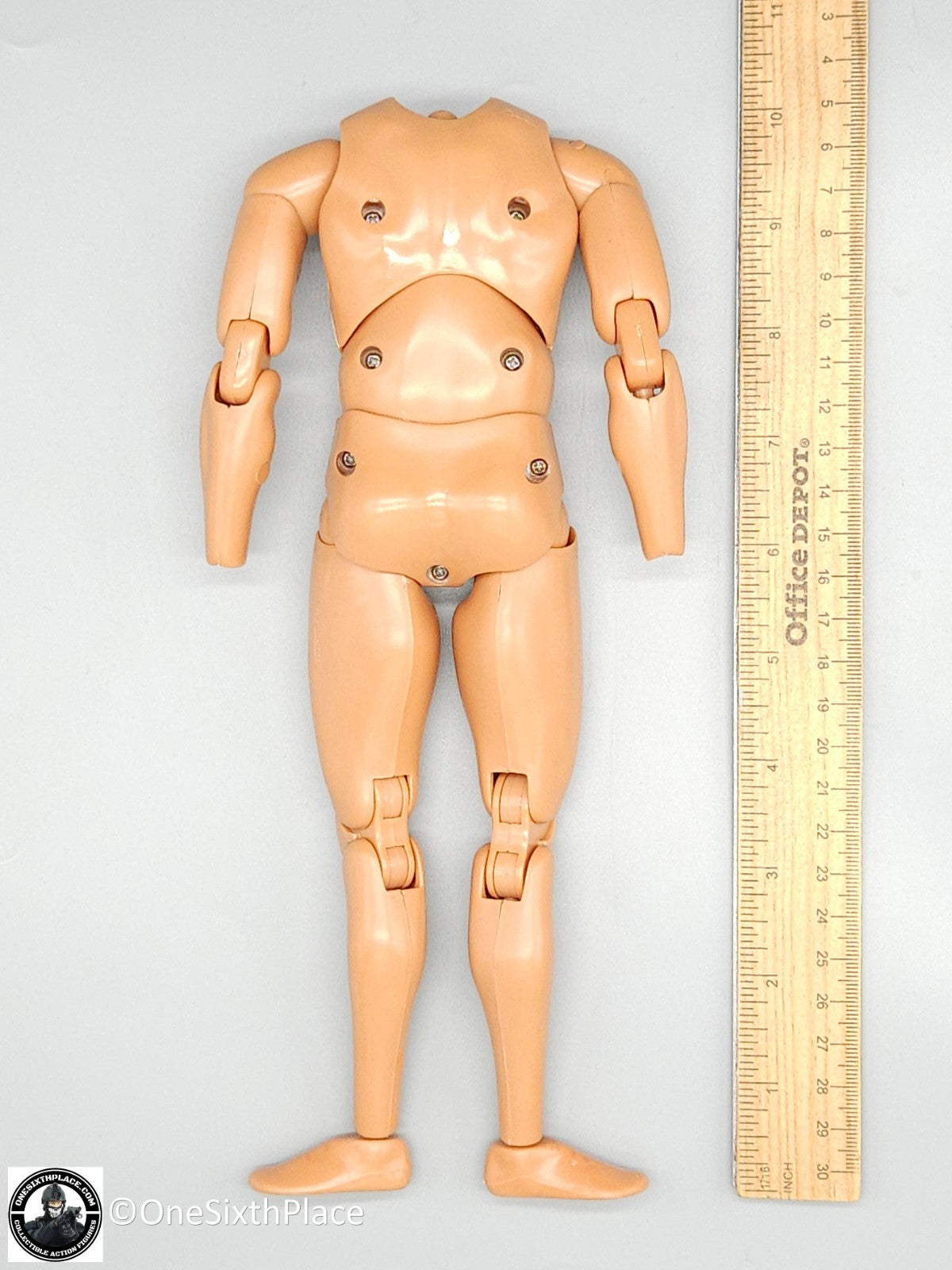 1:6 scale ACE SEAL Team 10 Male Nude Body for 12" Figures