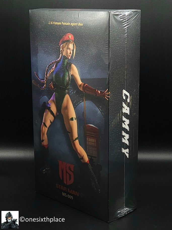 1:6 scale Star Man Female Fighter Agent Bee 12" Action Figure
