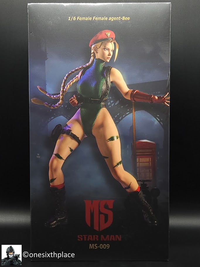 1:6 scale Star Man Female Fighter Agent Bee 12" Action Figure