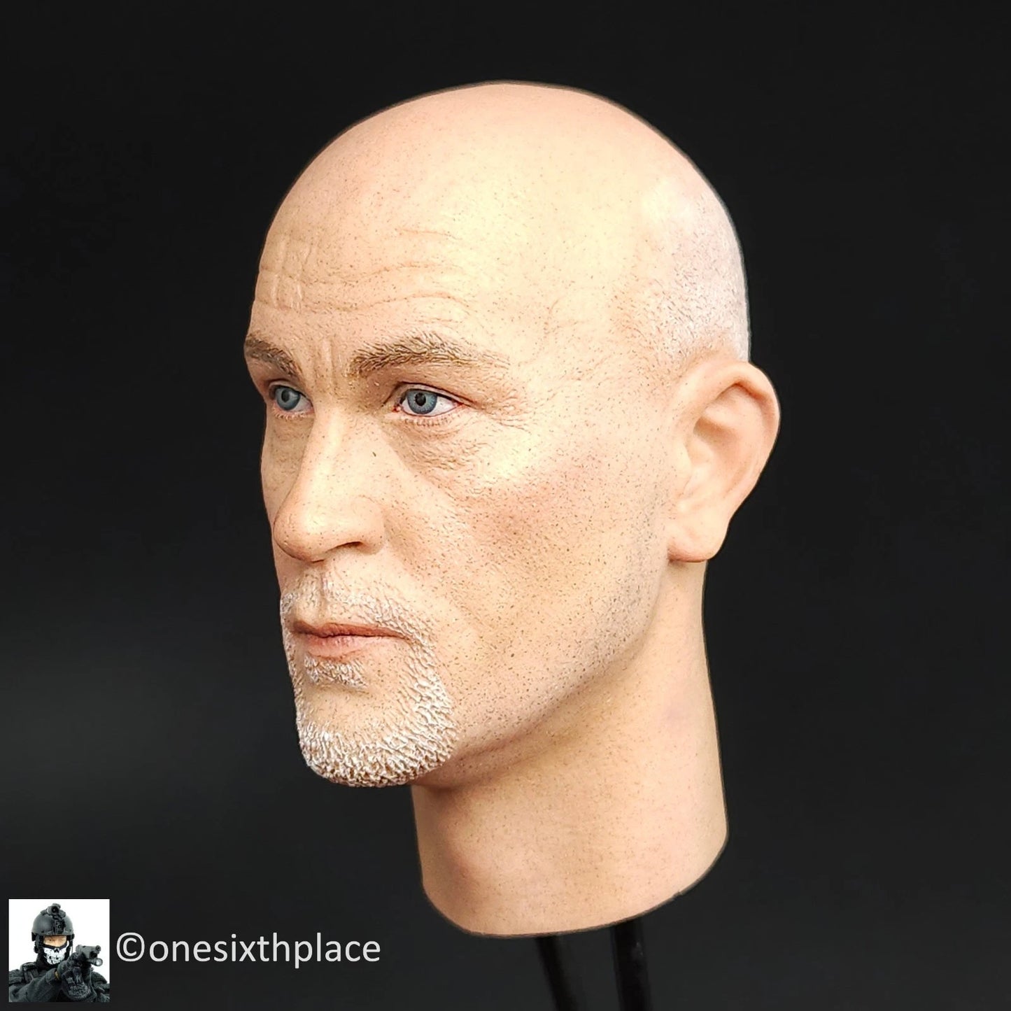 1:6 DiD WWII German Officer Drud Male Head Sculpt 12" GI Joe Dragon BBI DamToys