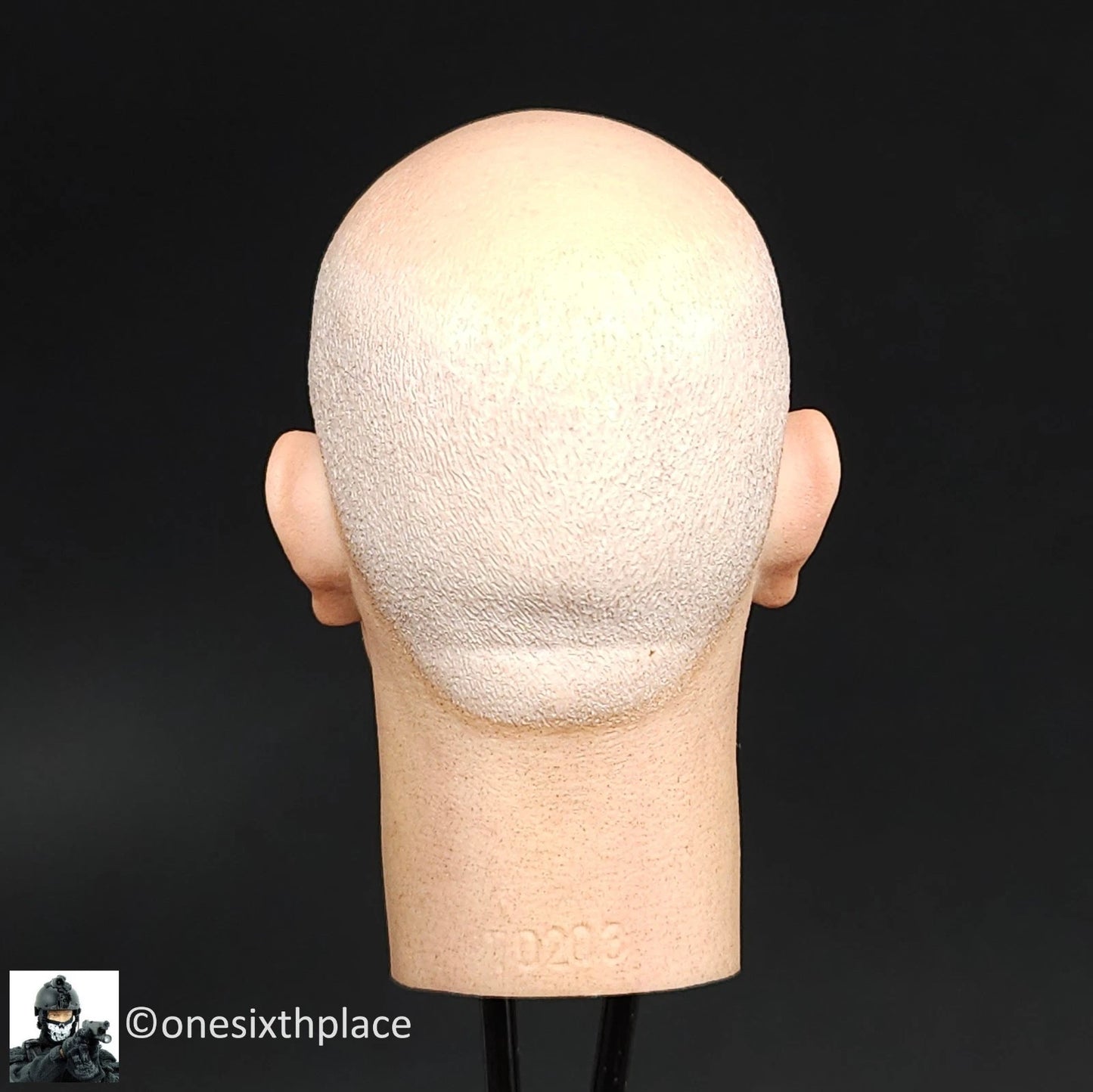 1:6 DiD WWII German Officer Drud Male Head Sculpt 12" GI Joe Dragon BBI DamToys