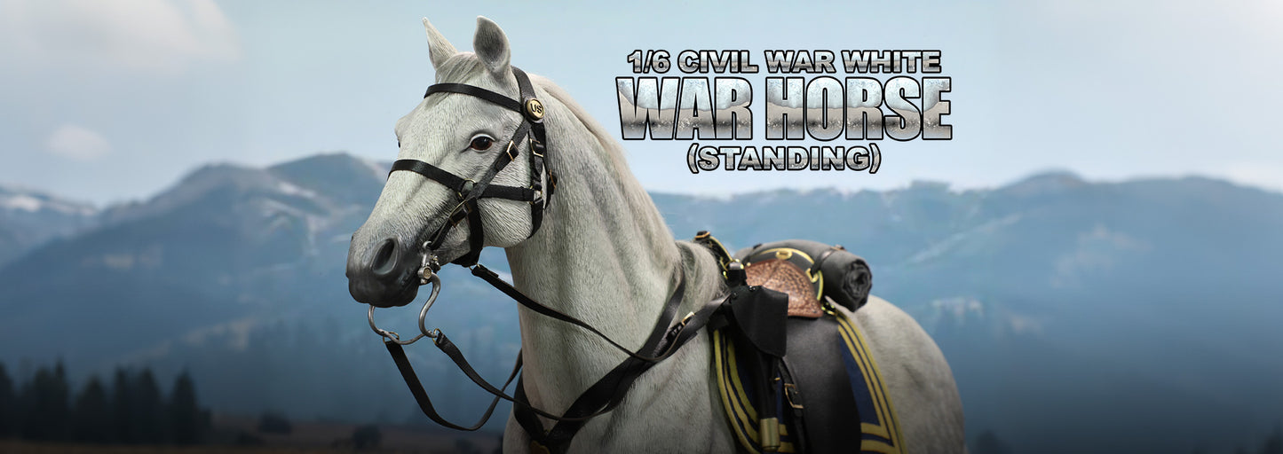 1:6 scale DID E60086 US Civil War White War Horse (Standing) for 12" Figures (PREORDER)