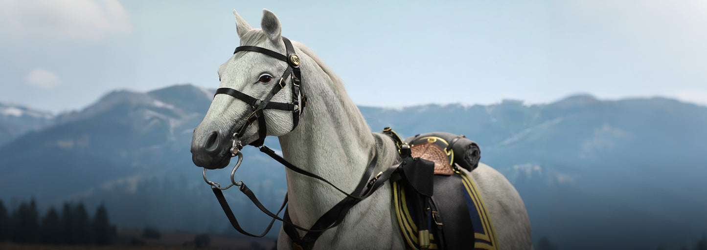 1:6 scale DID E60086 US Civil War White War Horse (Standing) for 12" Figures (PREORDER)