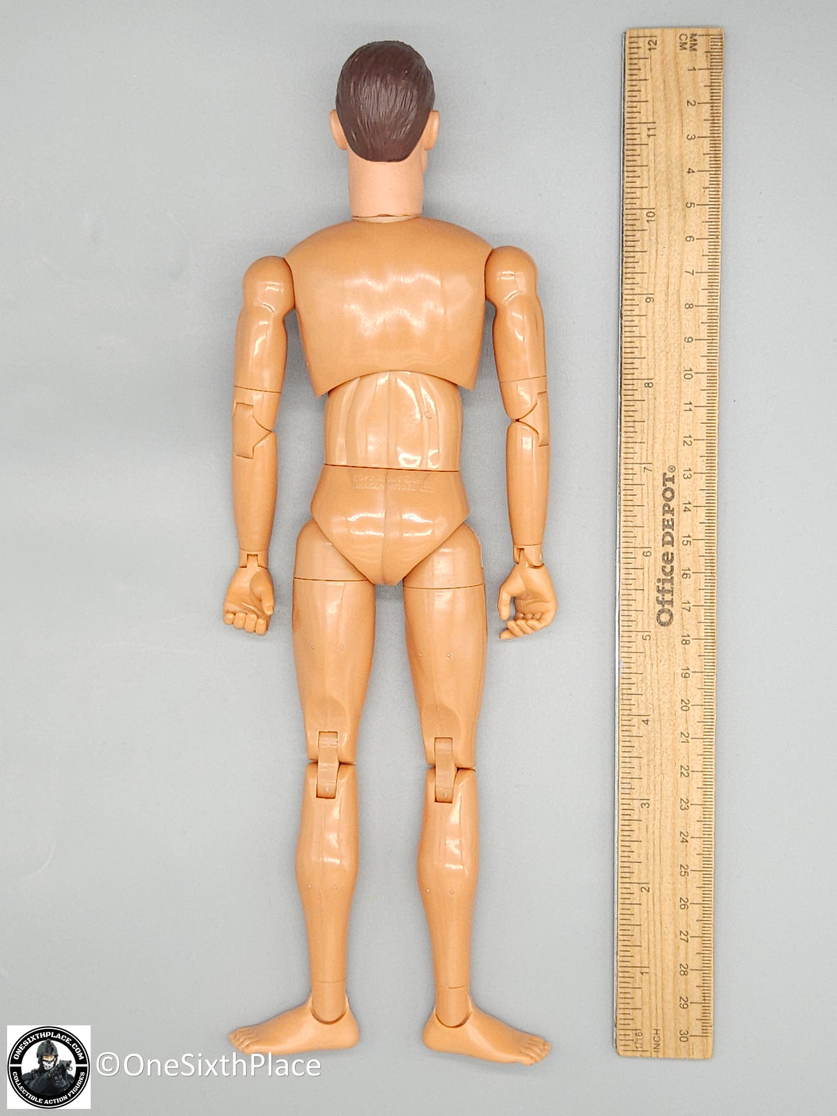 1:6 scale Dragon Adam Male Body w/ Head & Hands 12" Figure