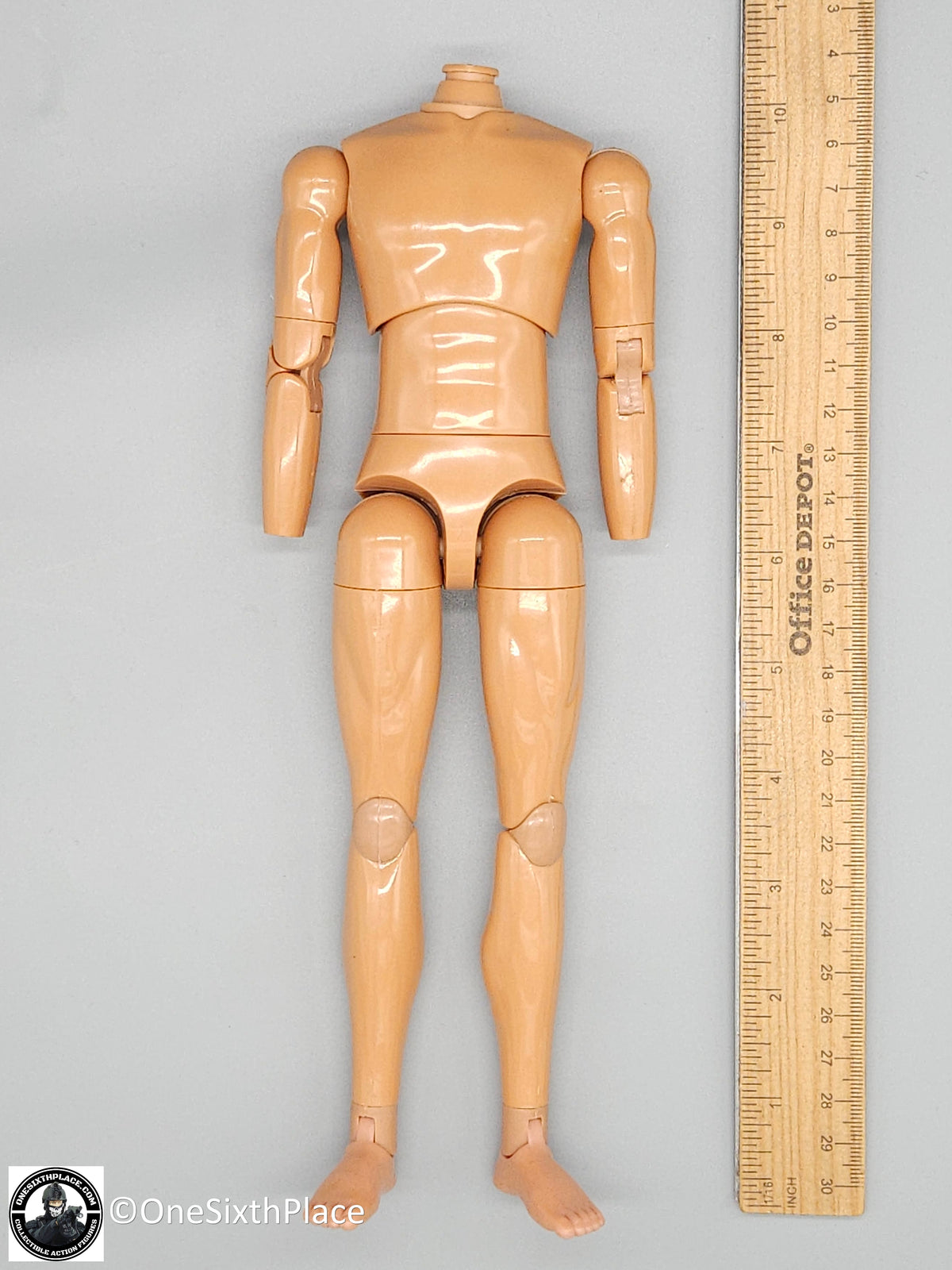 1:6 scale Dragon Adam Slim Male Nude Male Body (Suntan Gloss) 12" Figure